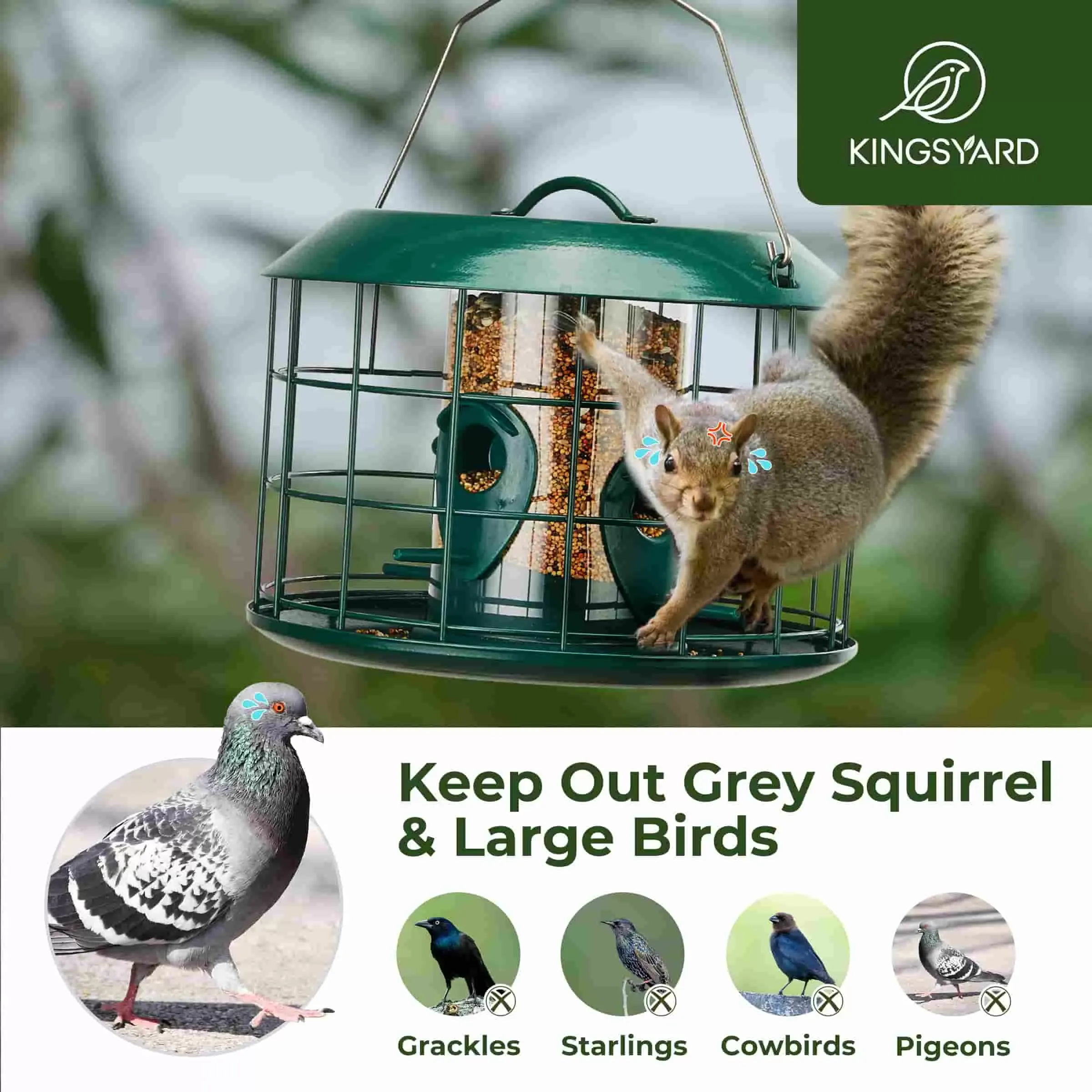 Green Kingsyard Squirrel Proof Caged Tube Bird Feeder 7