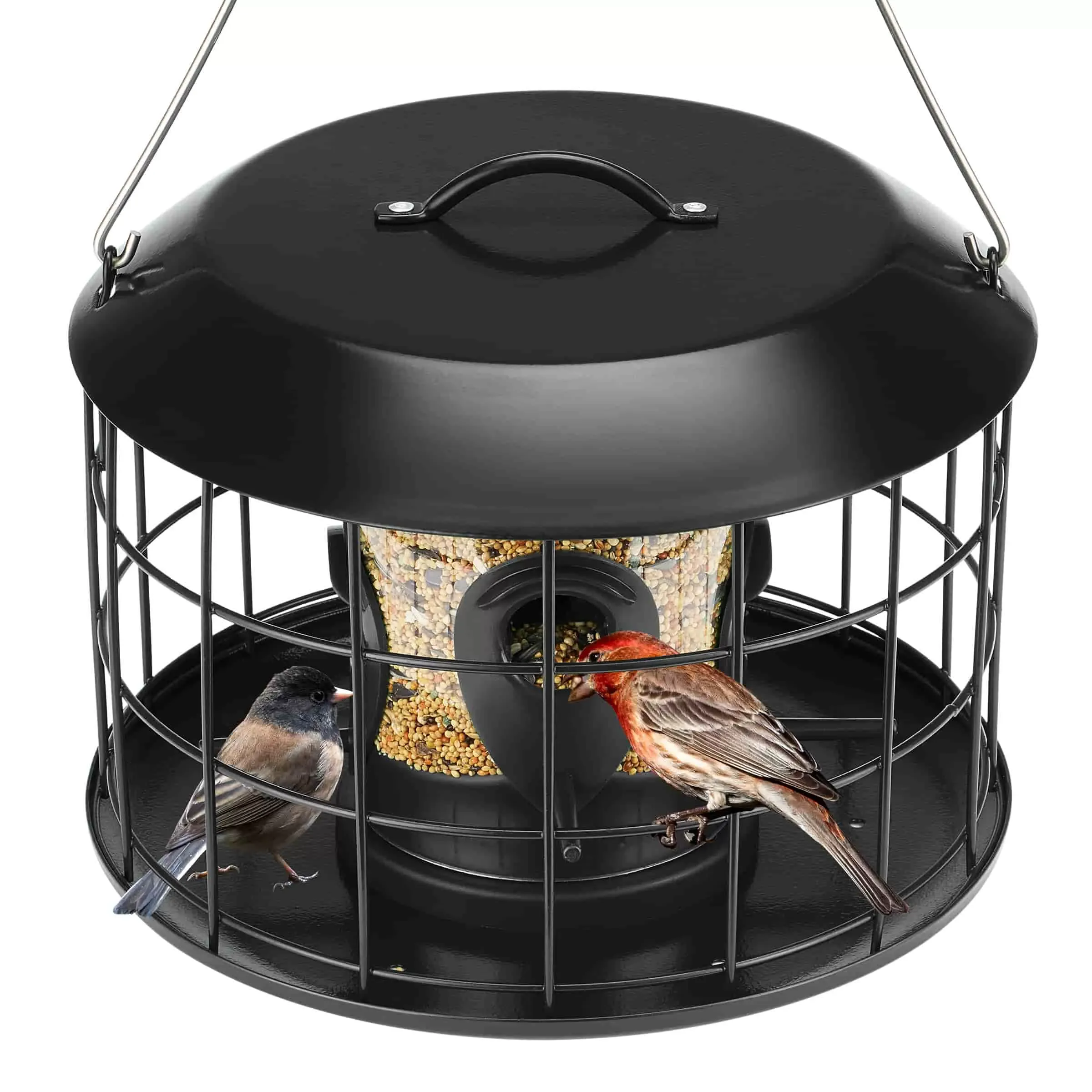 Black Kingsyard Squirrel Proof Caged Tube Bird Feeder 2