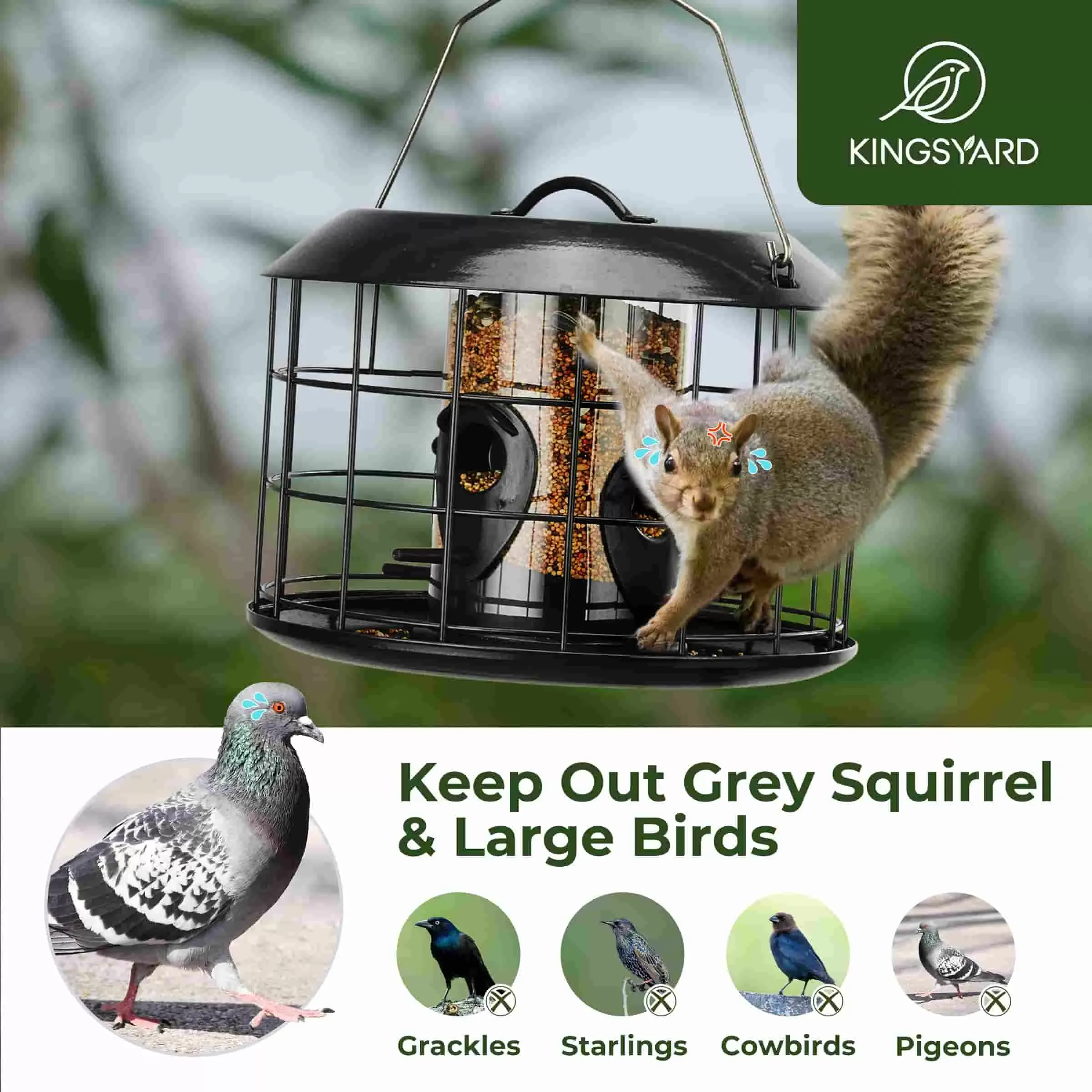 Black Kingsyard Squirrel Proof Caged Tube Bird Feeder 6