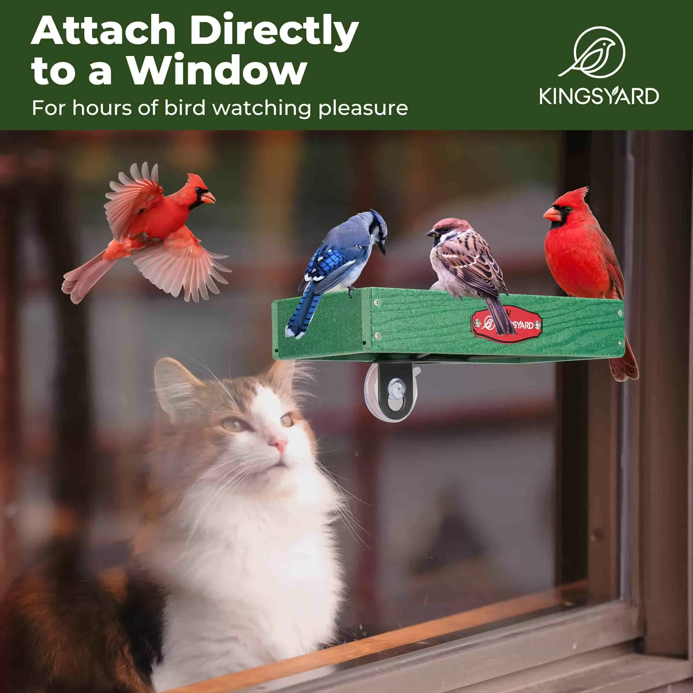 Kingsyard Window Bird Feeder with Triangular Bracket 6