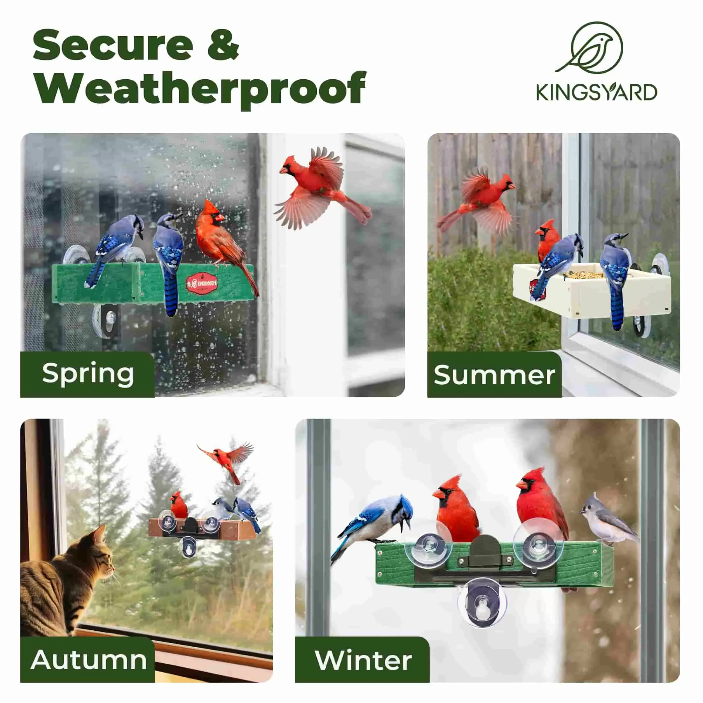 Kingsyard Window Bird Feeder with Triangular Bracket 7