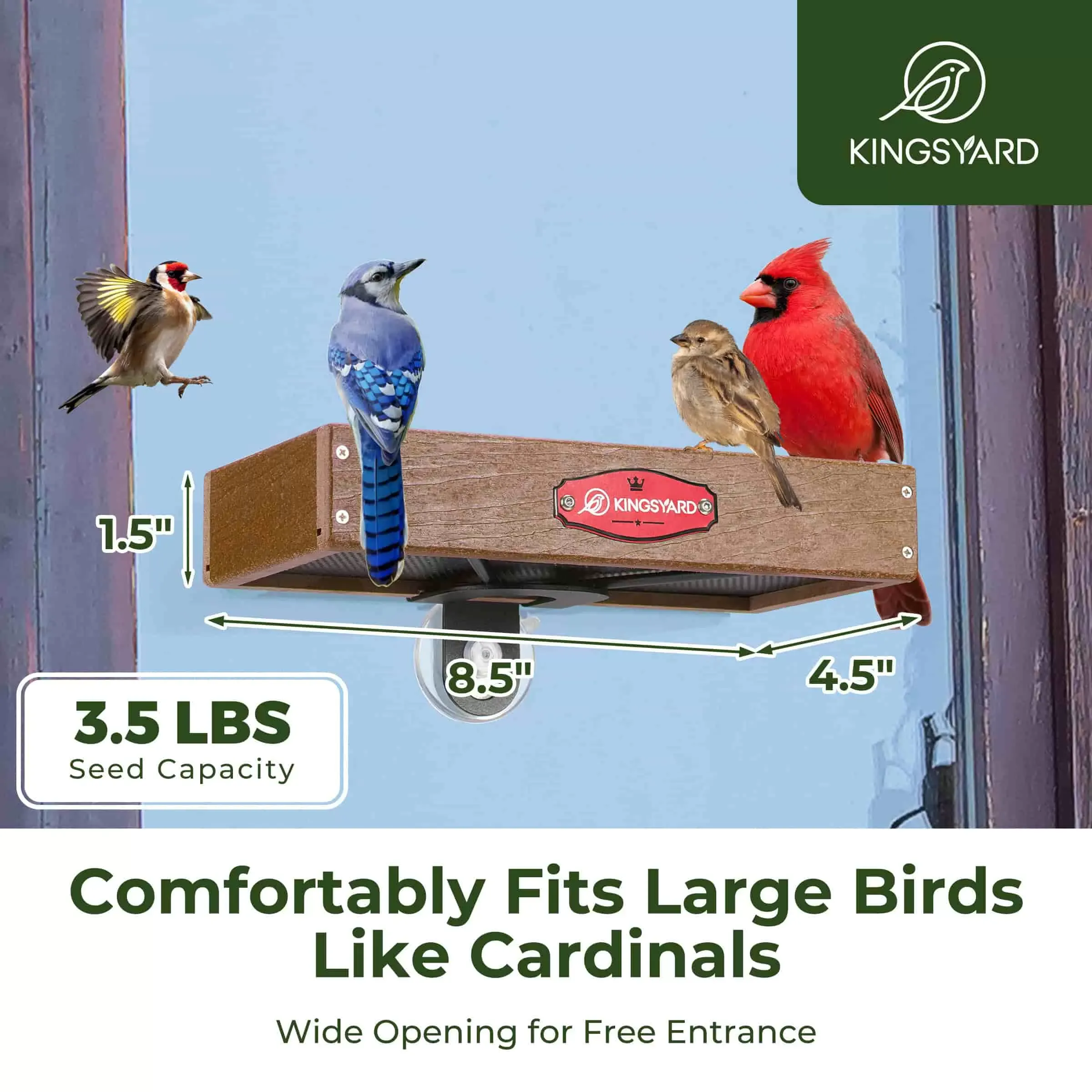 Brown Kingsyard Window Bird Feeder with Triangular Bracket 5