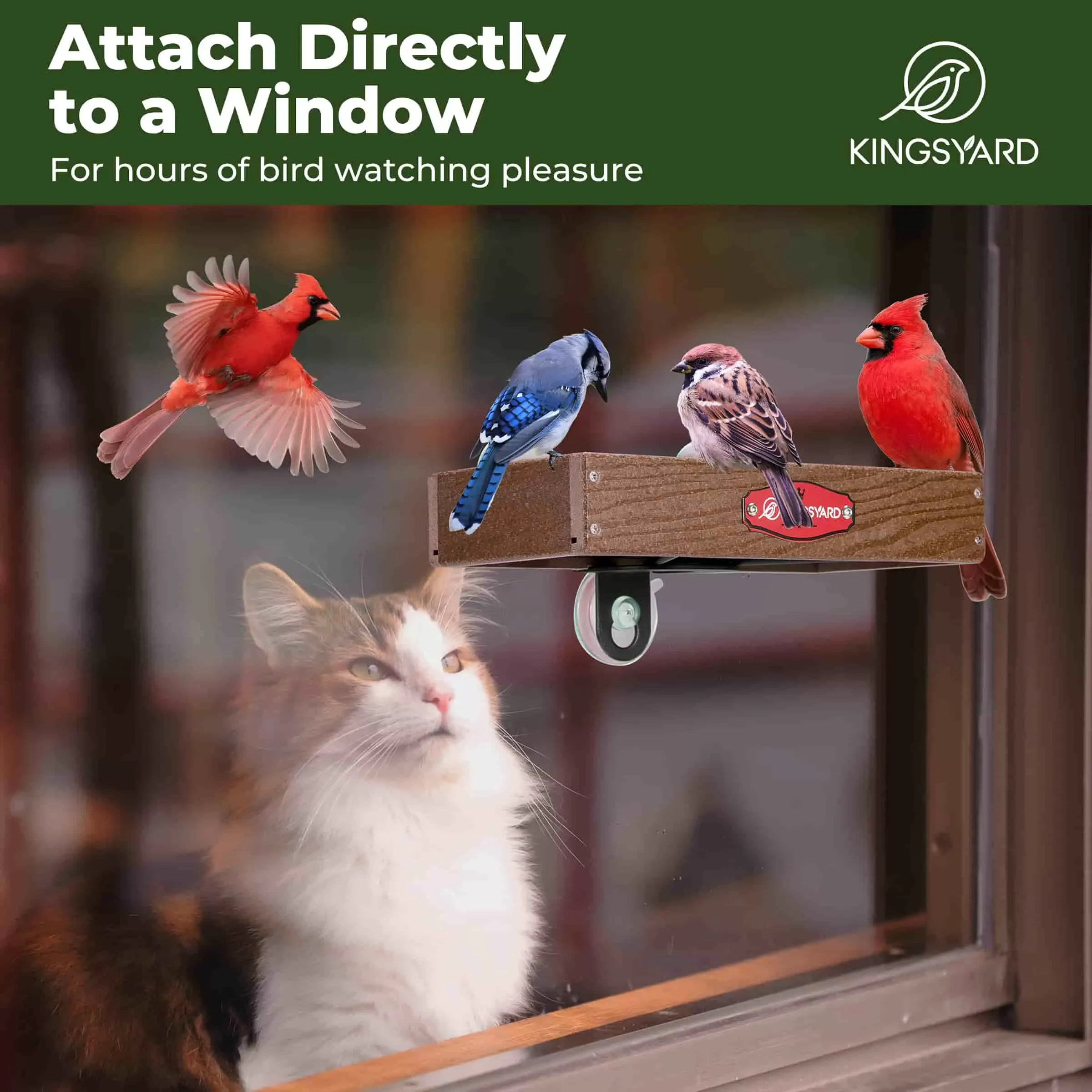 Brown Kingsyard Window Bird Feeder with Triangular Bracket 6