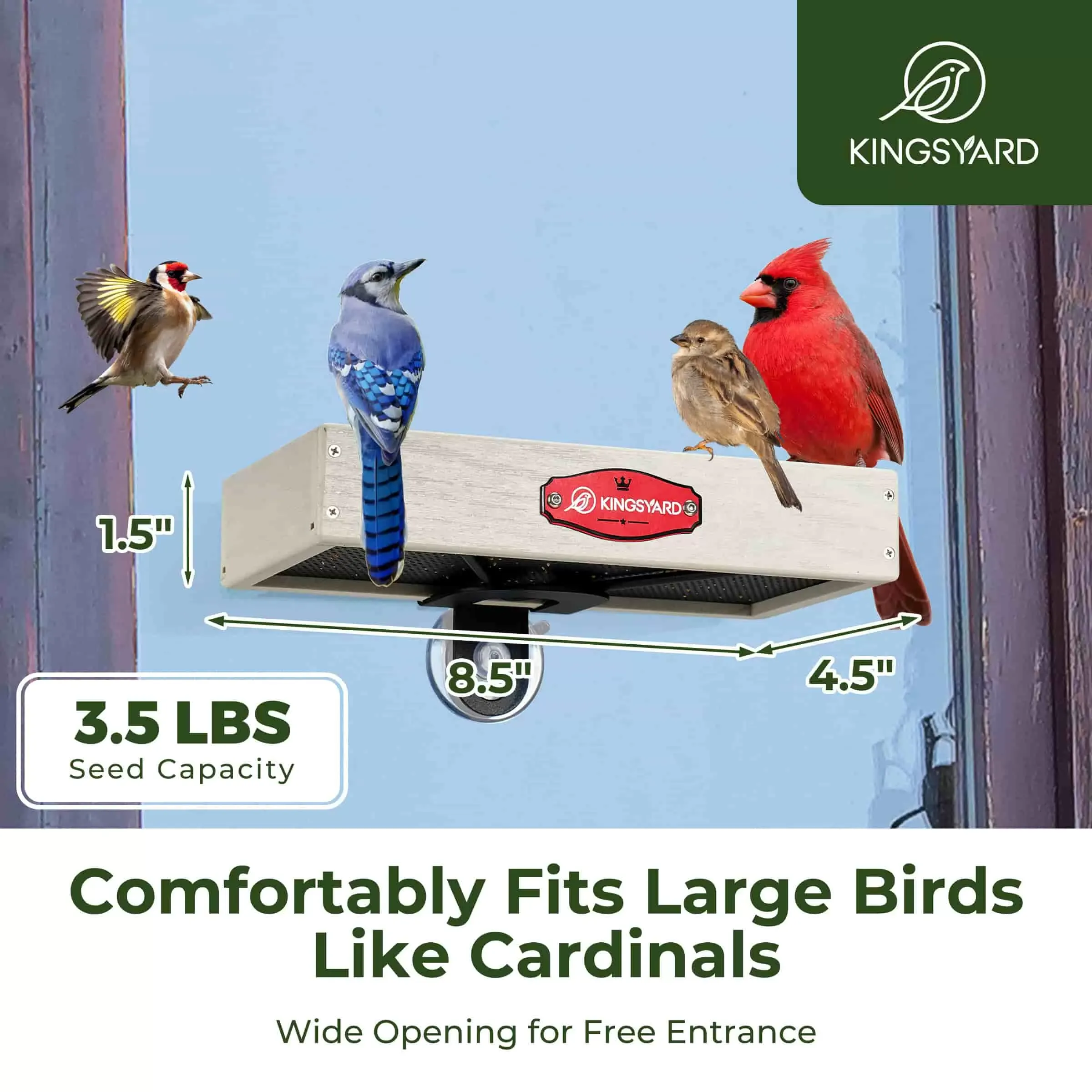 White Kingsyard Window Bird Feeder with Triangular Bracket 5