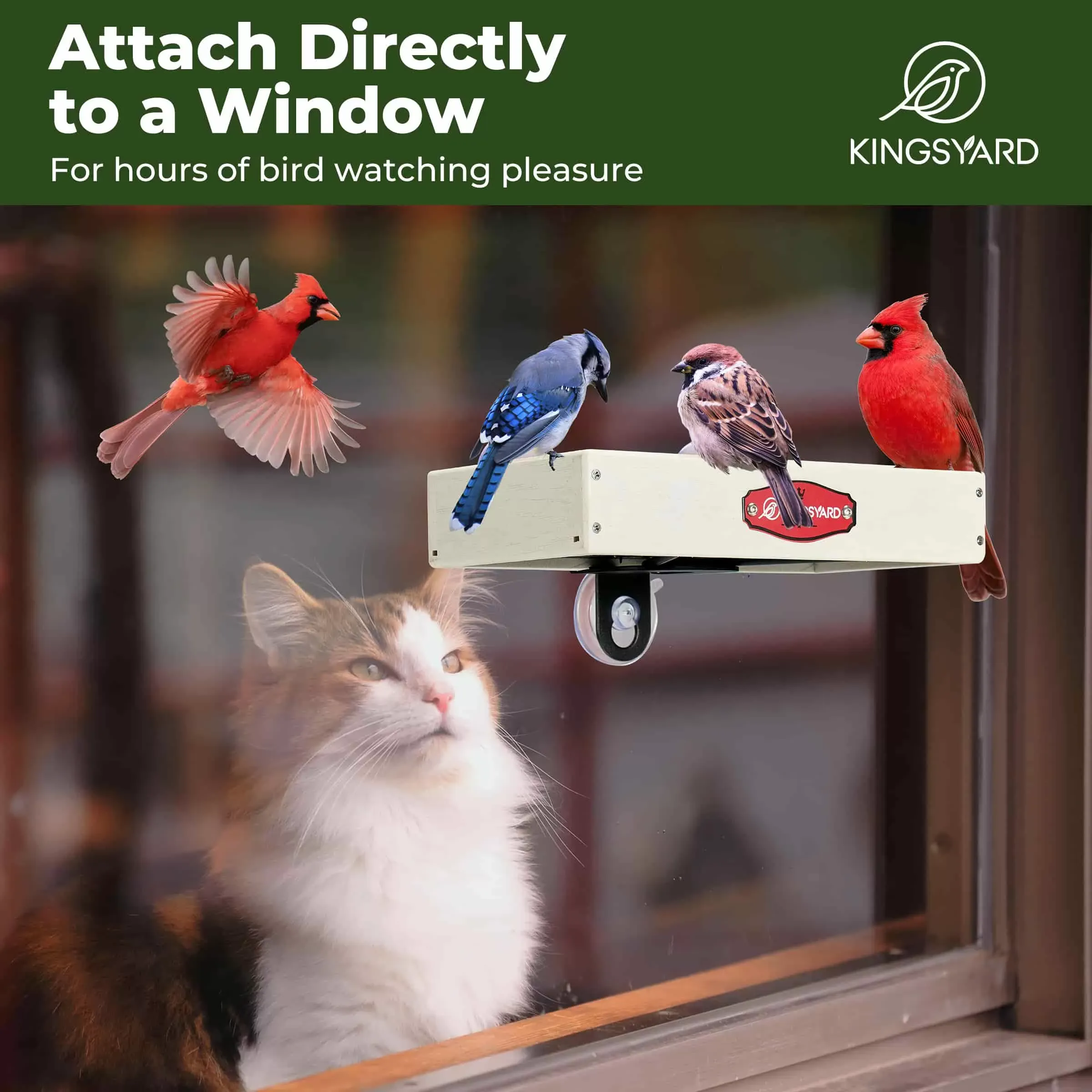 White Kingsyard Window Bird Feeder with Triangular Bracket 6