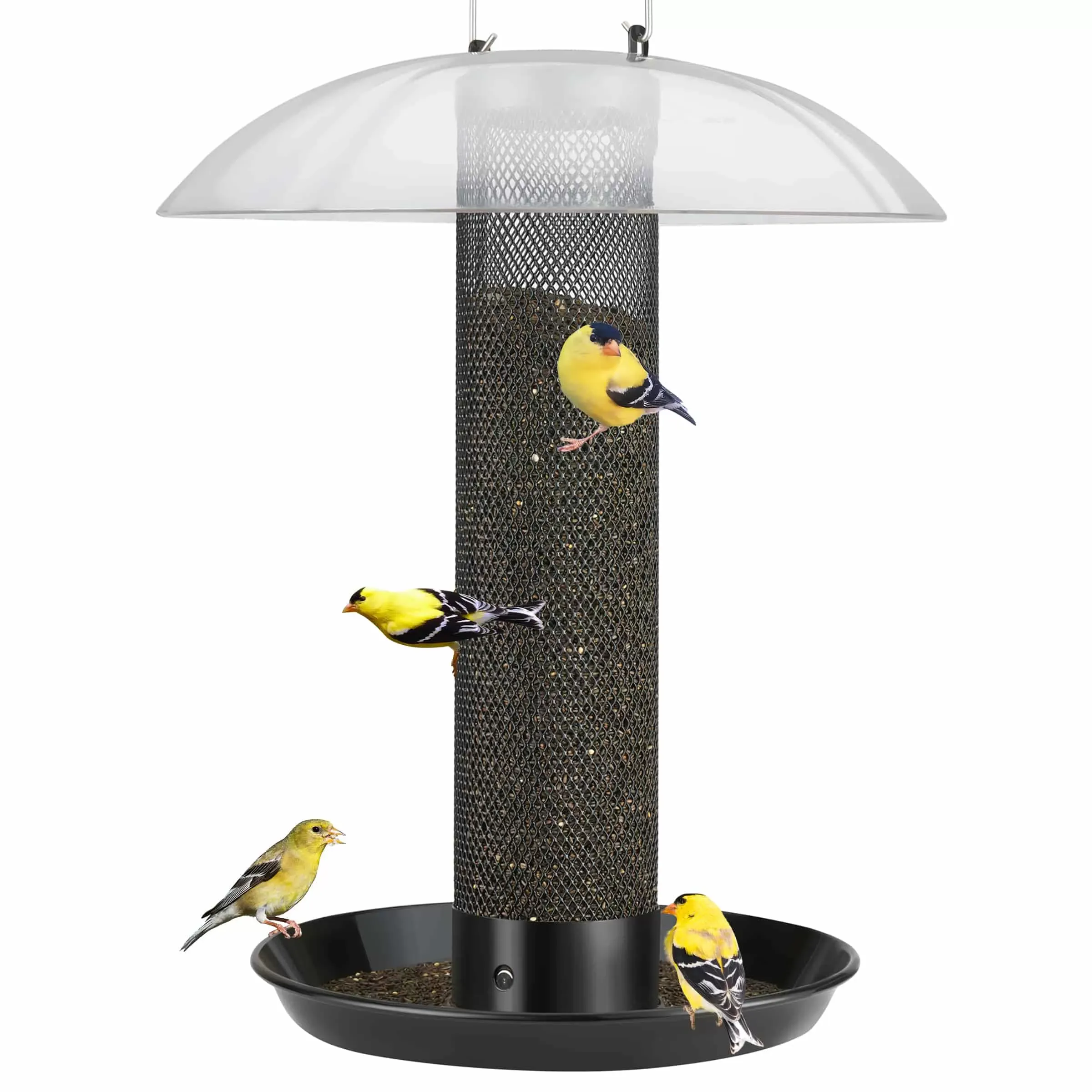 Black Kingsyard Finch Feeder with Weather Dome & Seed Tray 2