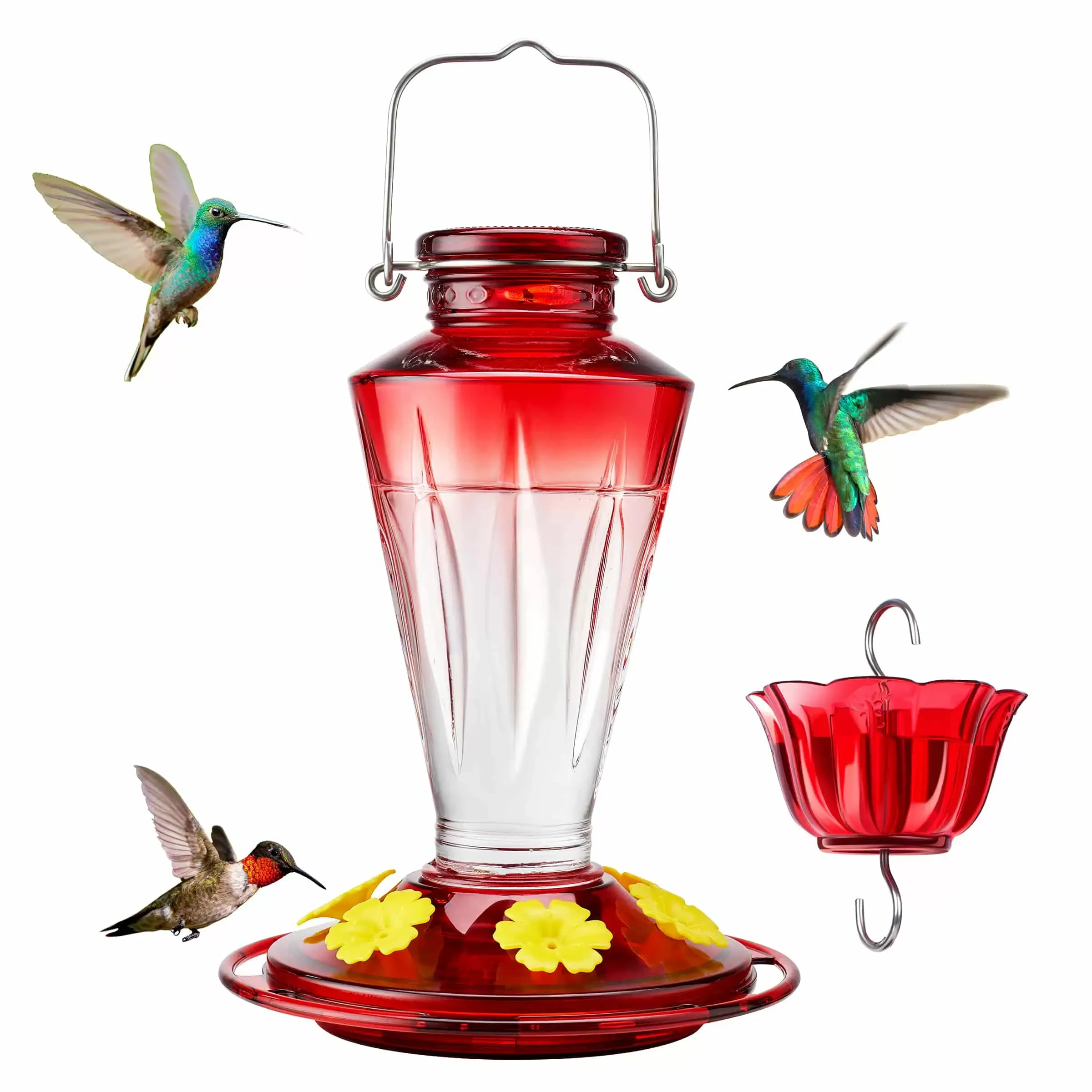 Clear & Red Kingsyard 16oz Glass Hummingbird Feeder with Ant & Bee Proof 2
