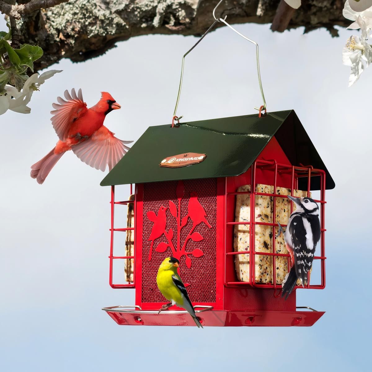Kingsyard Double Suet Hopper Bird Feeder With Rainproof Roof