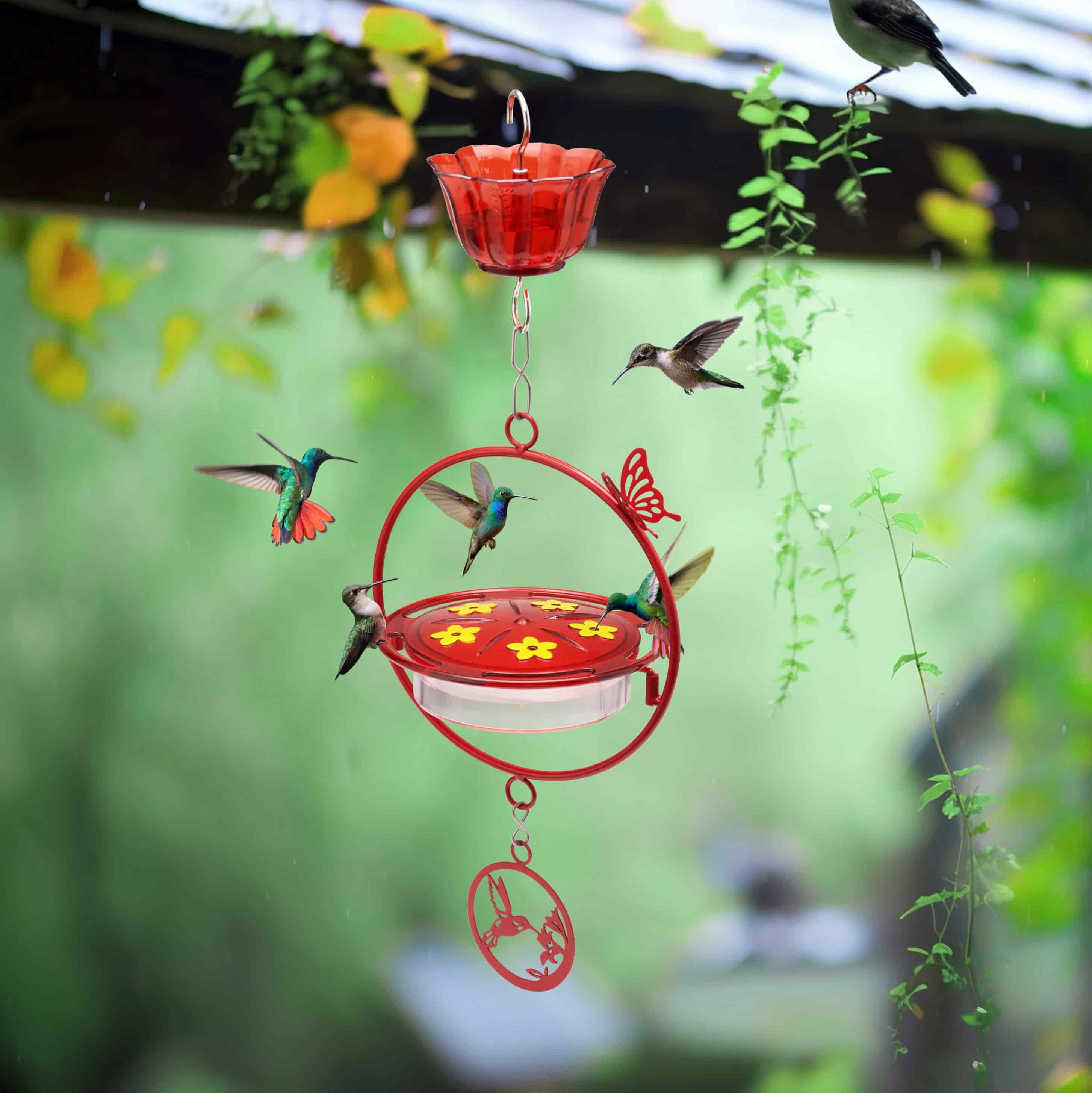 Kingsyard Circle Shape Tray Hummingbird Feeder with Ant Moat