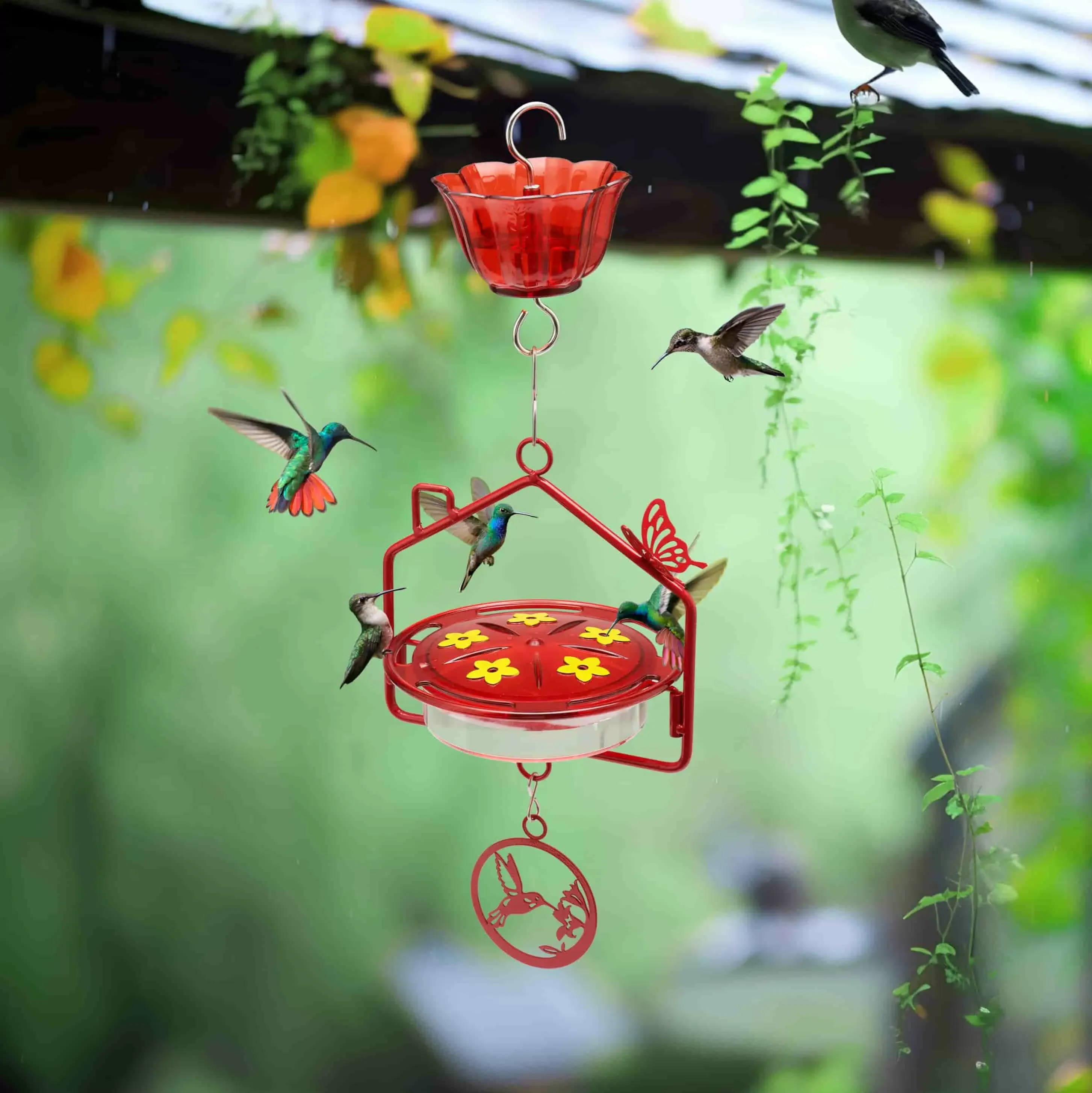 Kingsyard House Shape Tray Hummingbird Feeder with Ant Moat