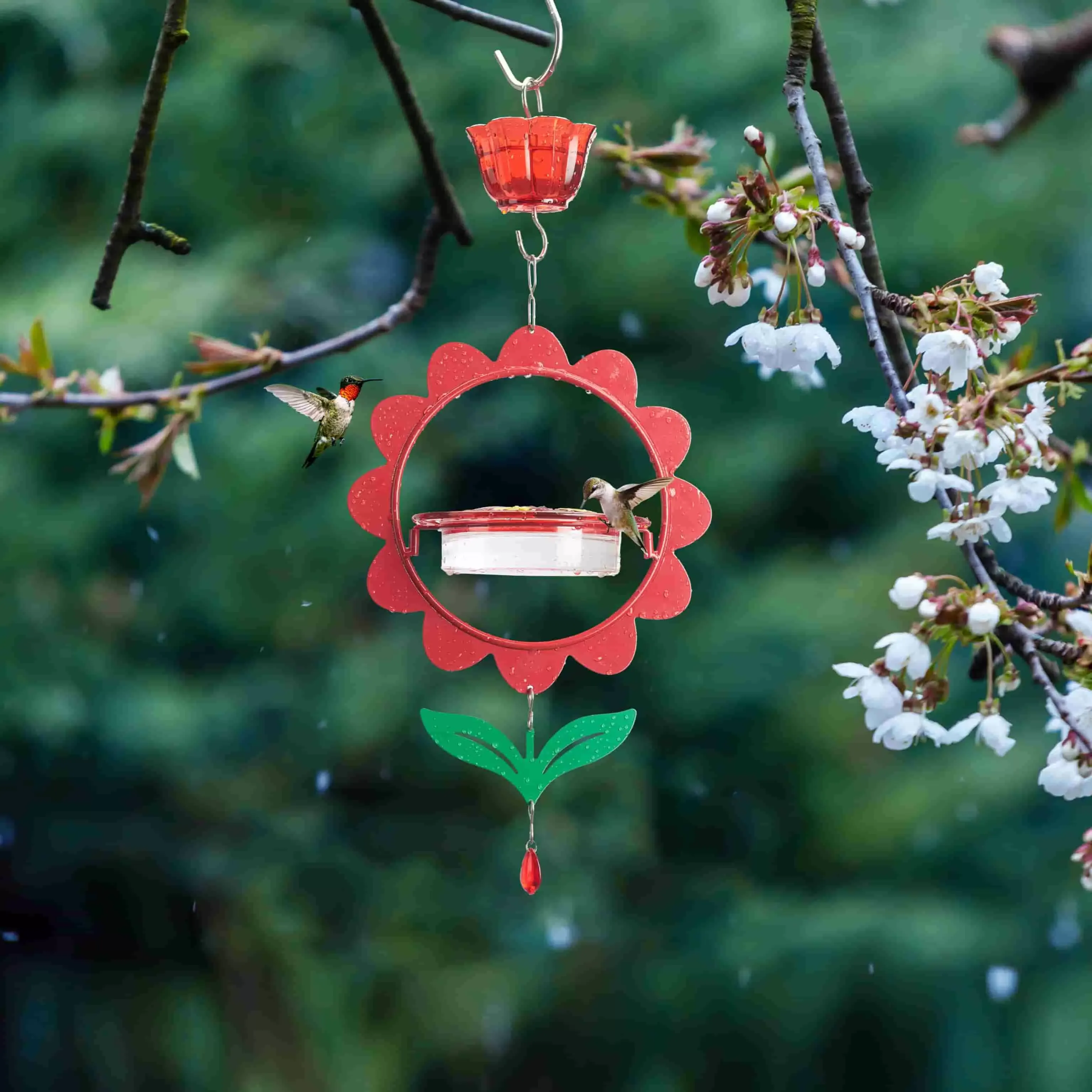 Kingsyard Floral Shape Tray Hummingbird Feeder with Ant Moat 8