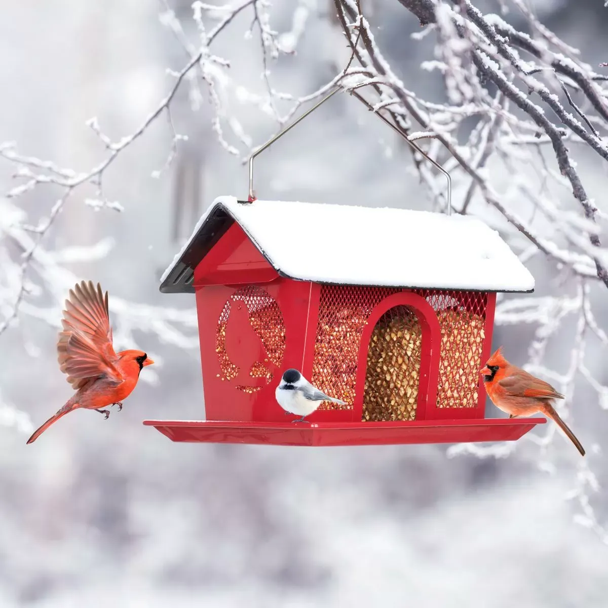 Red Kingsyard Weatherproof Metal Mesh Hopper Bird Feeder 6