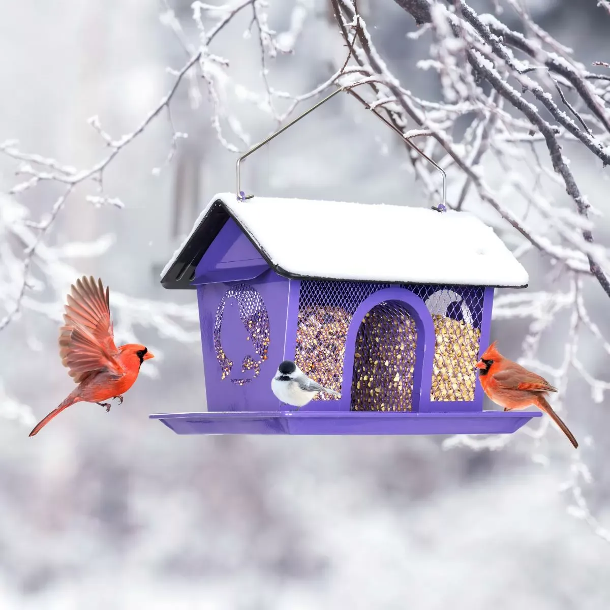 Purple Kingsyard Weatherproof Metal Mesh Hopper Bird Feeder 6