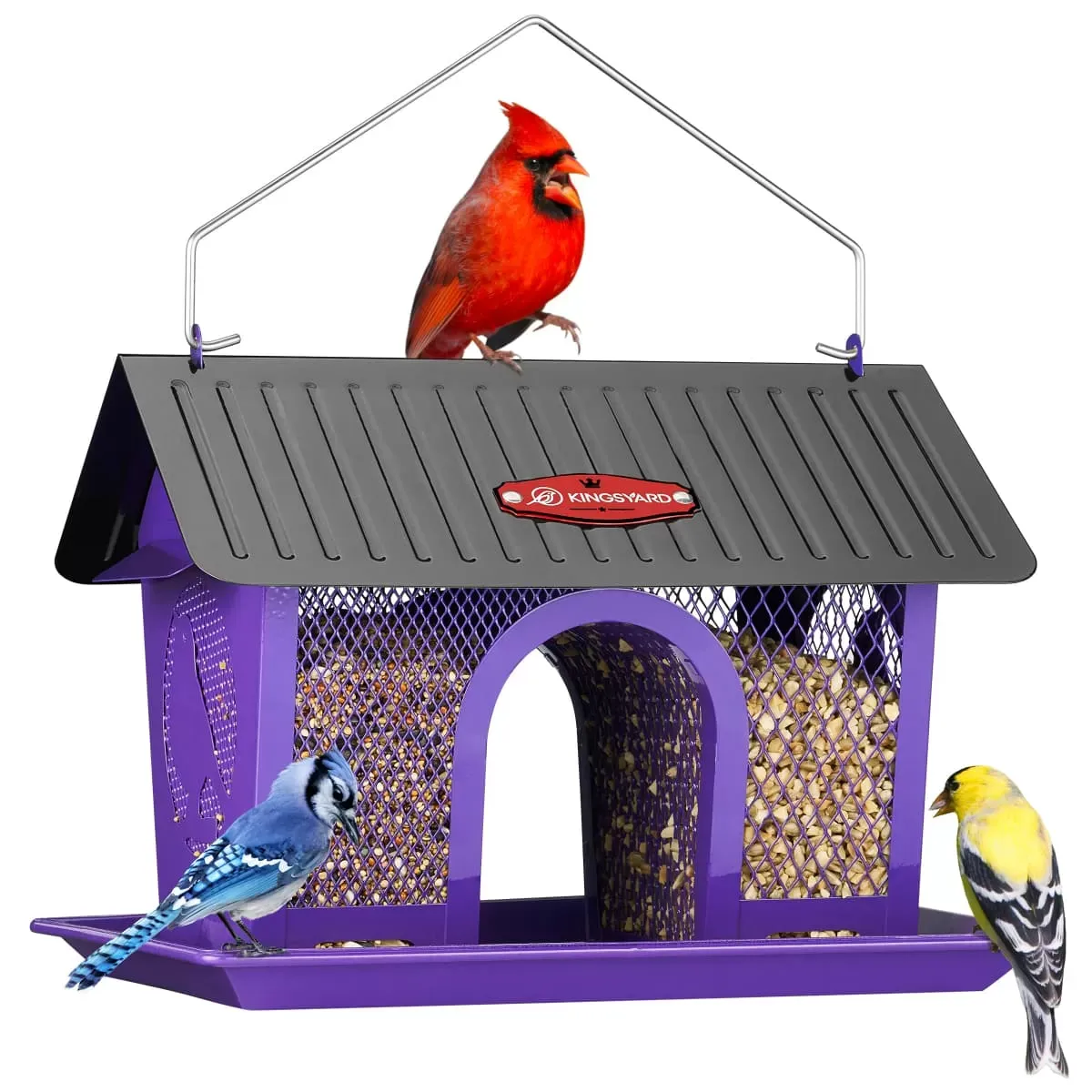 Purple Kingsyard Weatherproof Metal Mesh Hopper Bird Feeder 2