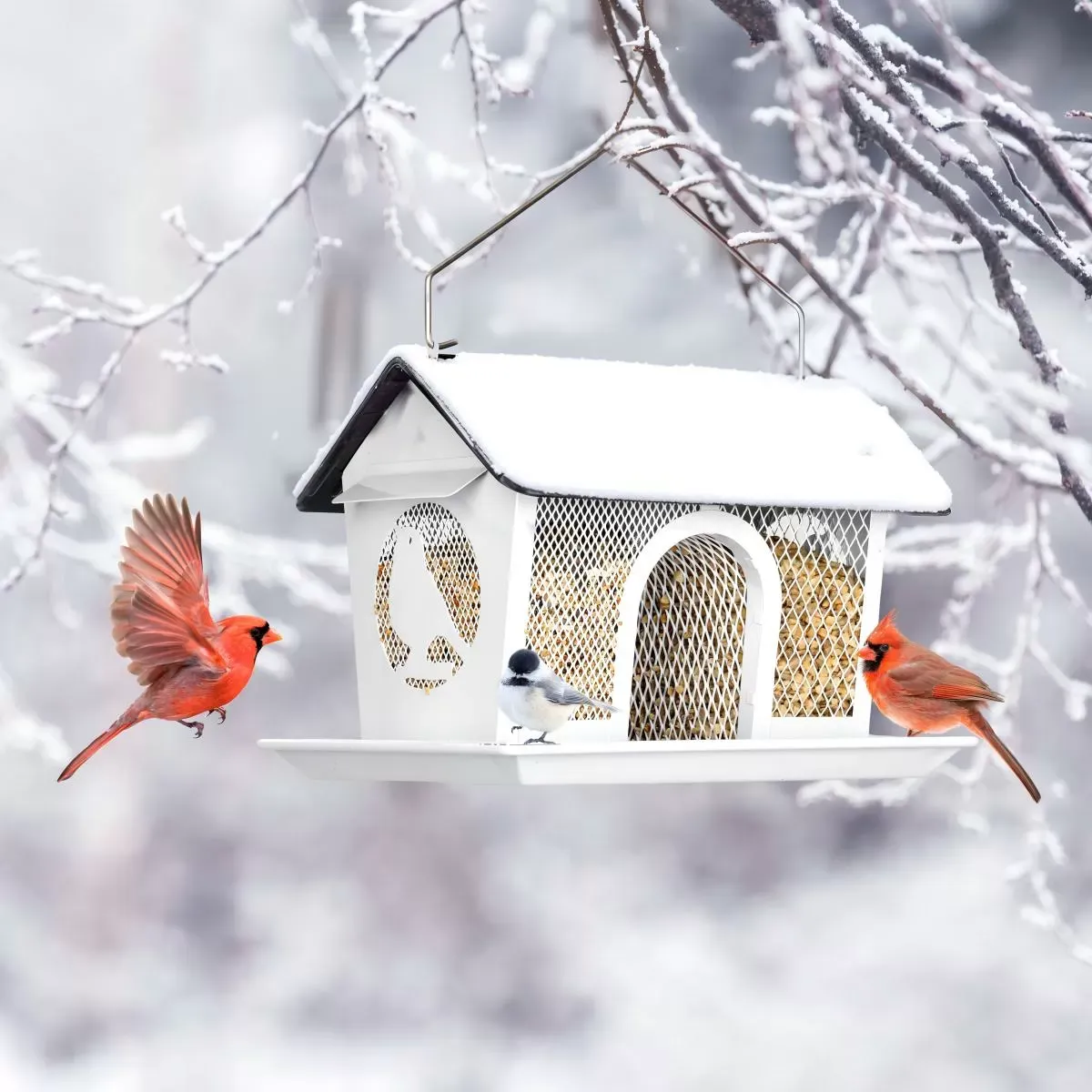 White Kingsyard Weatherproof Metal Mesh Hopper Bird Feeder 6