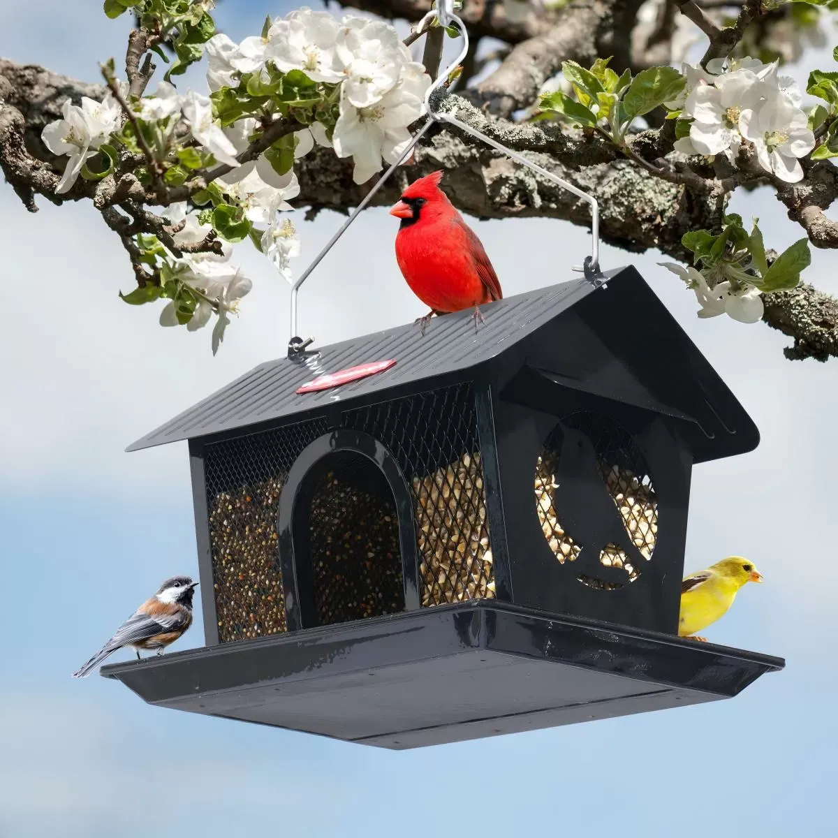 Black Kingsyard Weatherproof Metal Mesh Hopper Bird Feeder 1 Black Kingsyard Weatherproof Metal Mesh Hopper Bird Feeder 1