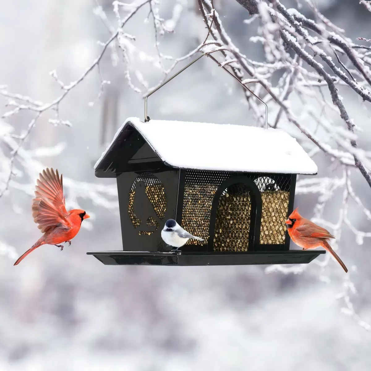 Black Kingsyard Weatherproof Metal Mesh Hopper Bird Feeder 6 Black Kingsyard Weatherproof Metal Mesh Hopper Bird Feeder 6