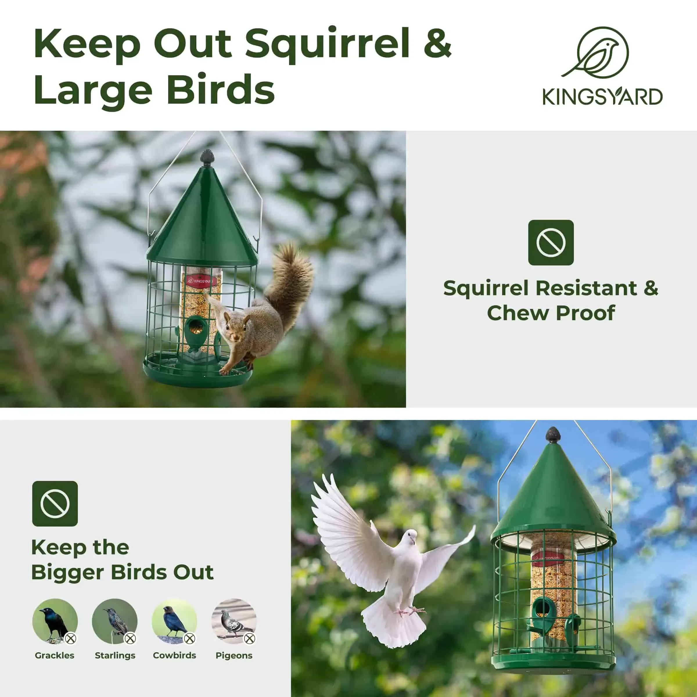 Kingsyard Caged Squirrel Proof Tube Bird Feeder with Rainproof Dome 5 Kingsyard Caged Squirrel Proof Tube Bird Feeder with Rainproof Dome 5