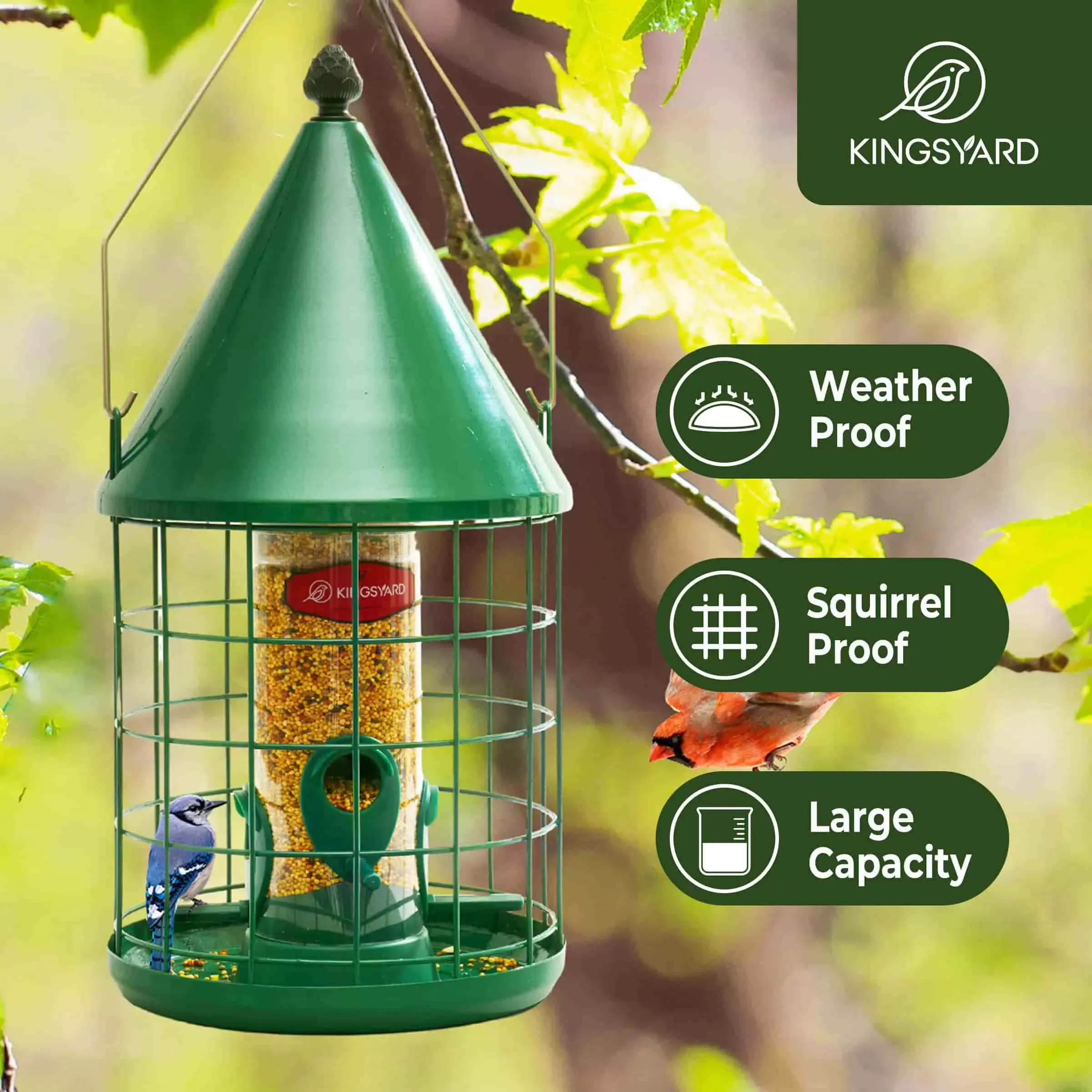 Kingsyard Caged Squirrel Proof Tube Bird Feeder with Rainproof Dome 7 Kingsyard Caged Squirrel Proof Tube Bird Feeder with Rainproof Dome 7