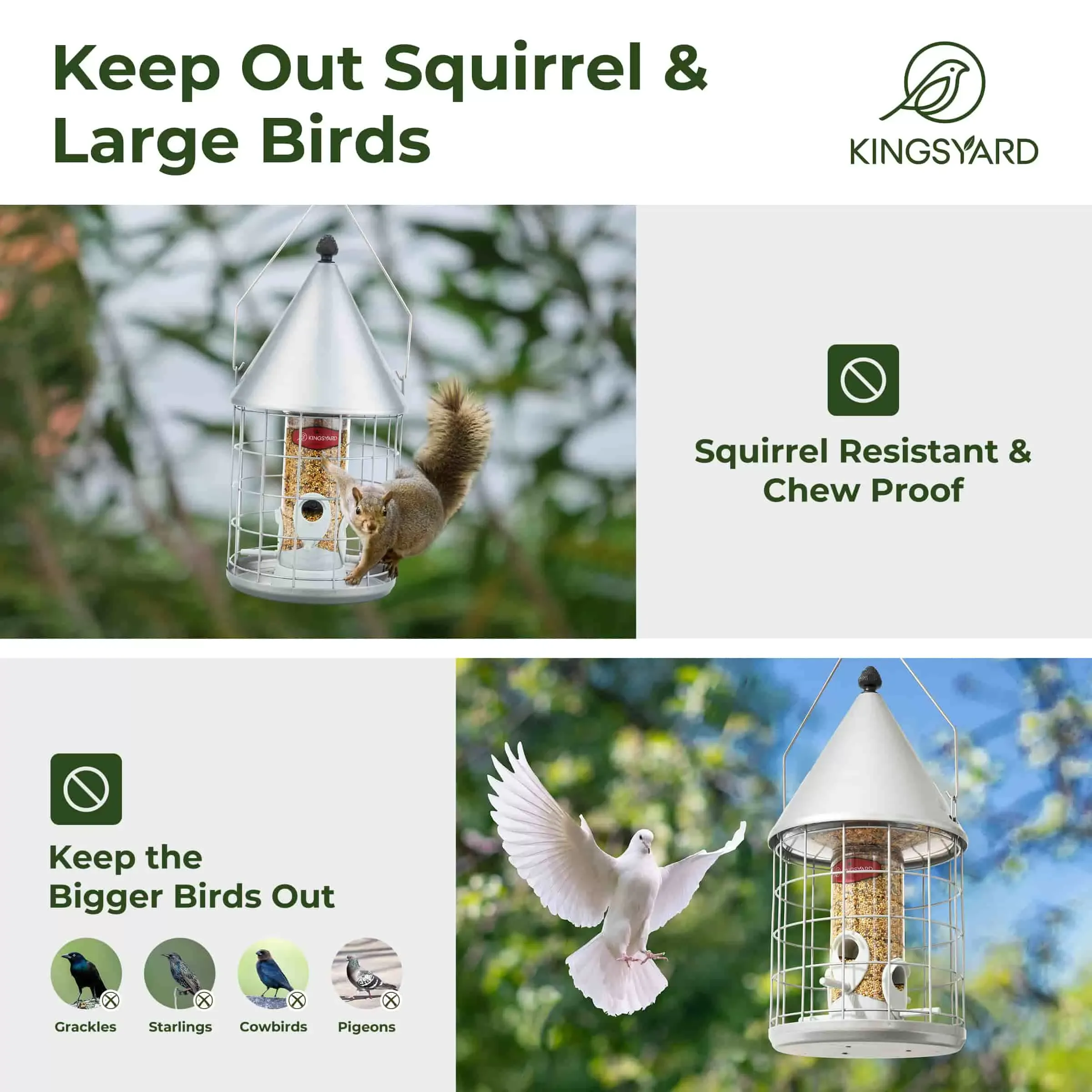Silver Kingsyard Caged Squirrel Proof Tube Bird Feeder with Rainproof Dome 5