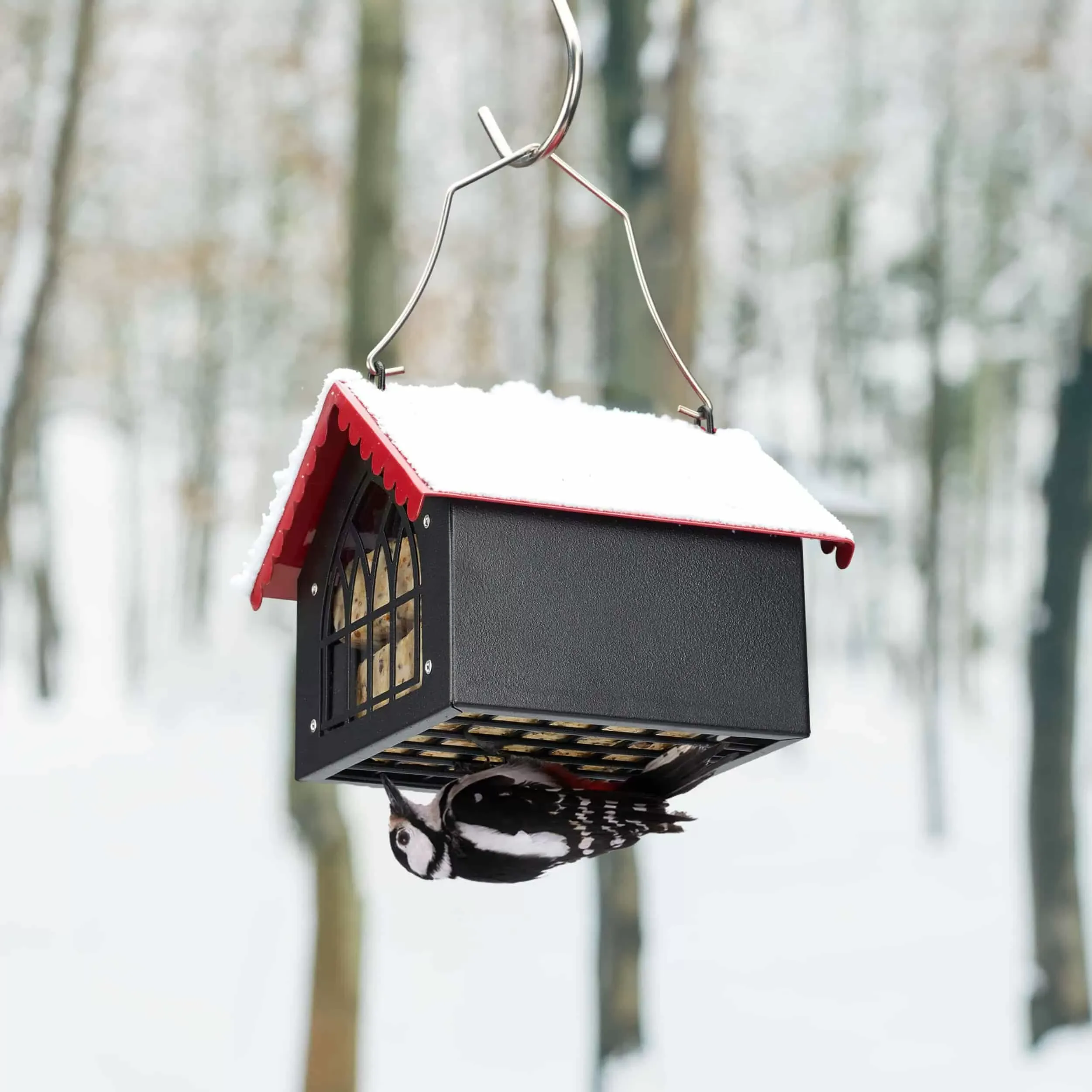 Kingsyard Metal Upside Down Double Suet Bird Feeder