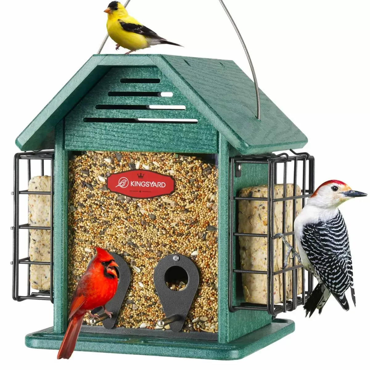Green Kingsyard 3 in 1 Double Suet Metal Mesh Wild Bird Feeder 2