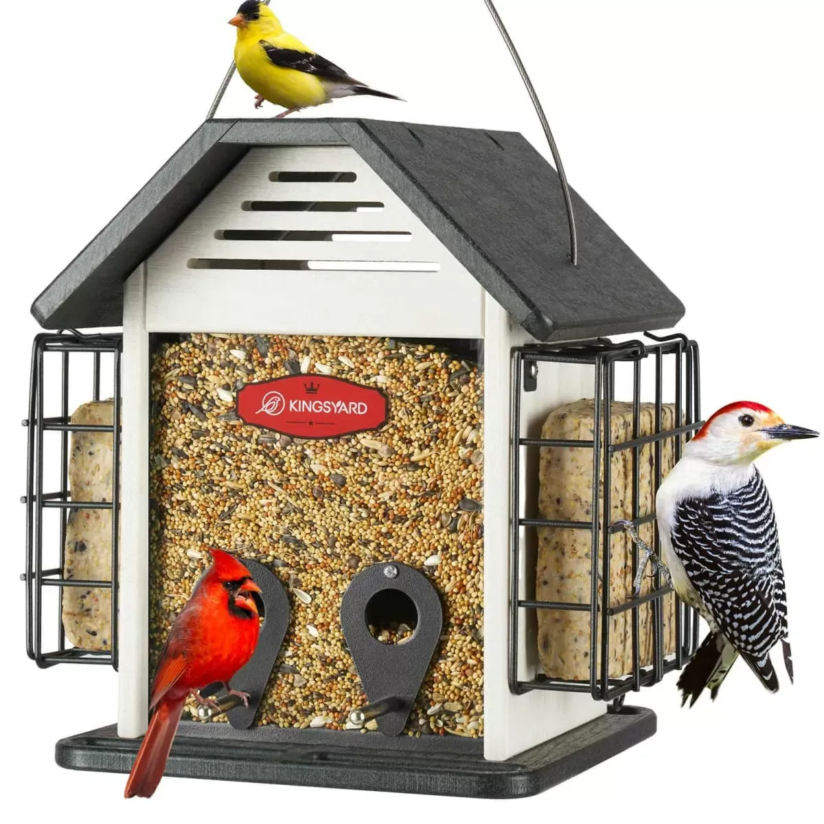 Black Roof & White Window Kingsyard 3 in 1 Double Suet Metal Mesh Wild Bird Feeder 2