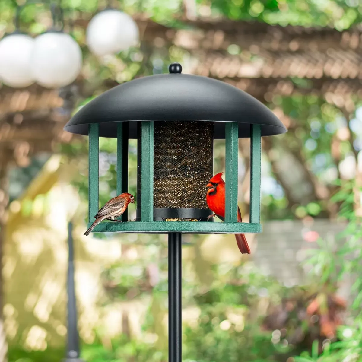 Kingsyard Platform Bird Feeder with Protective Dome