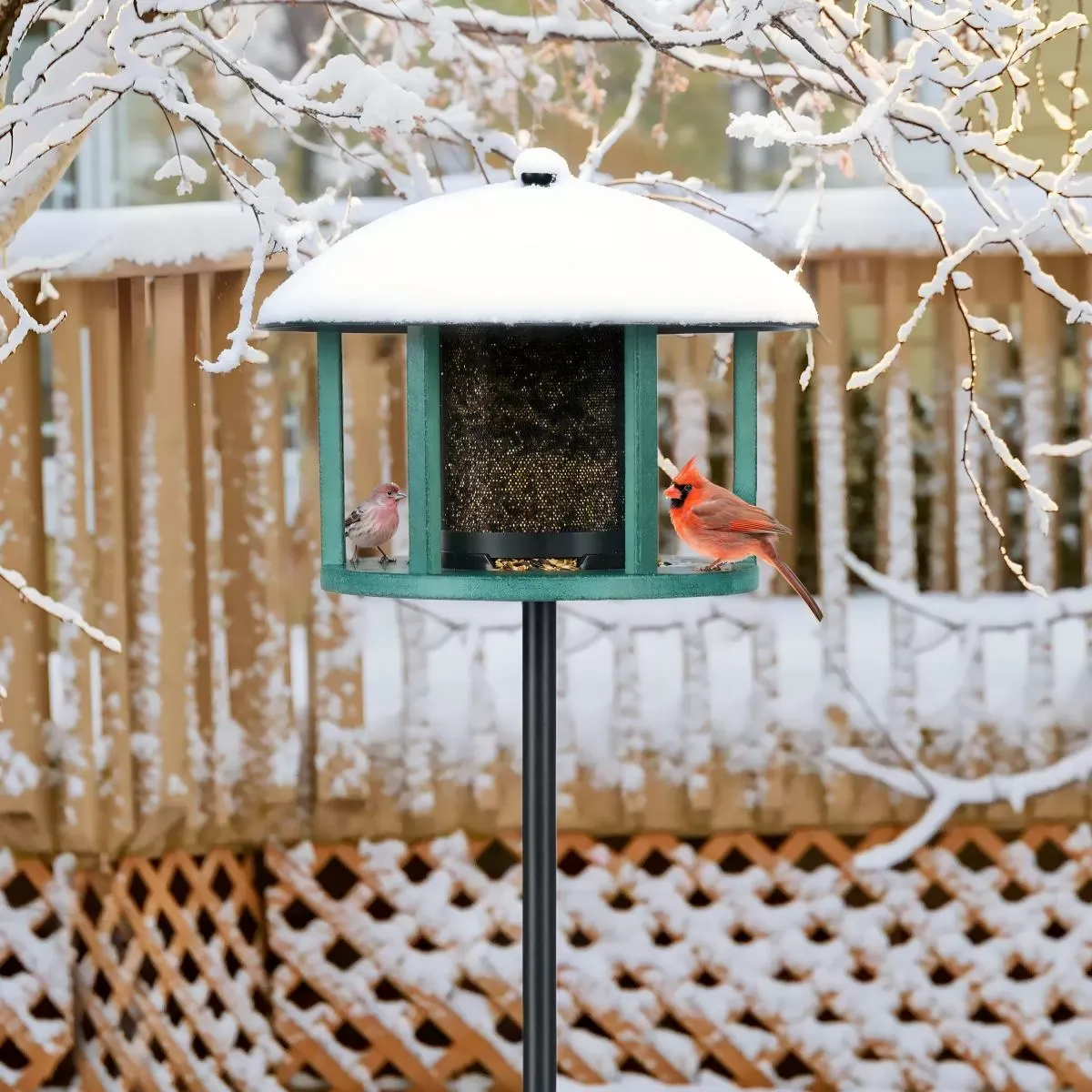 Kingsyard Platform Bird Feeder with Protective Dome 2