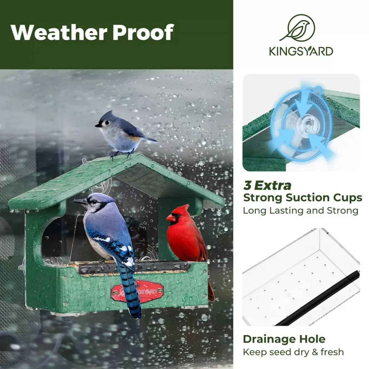 Kingsyard Window Bird Feeder House for Outside Hanging 5