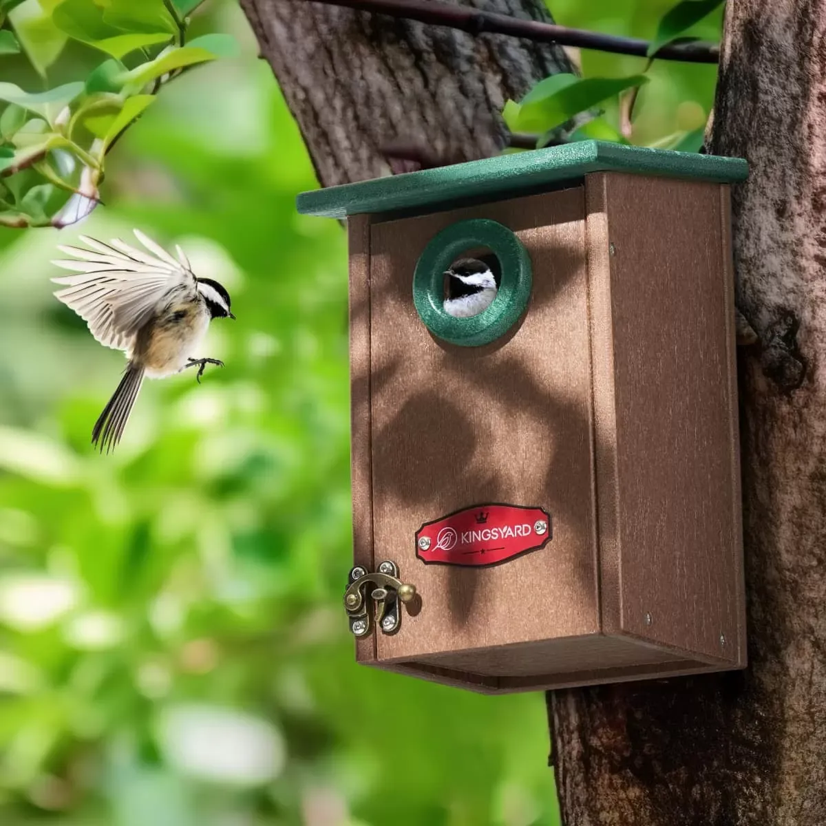 Green Kingsyard Weatherproof Wren Bird House with 1'' Hole for Outdoor Nesting 1 Green Kingsyard Weatherproof Wren Bird House with 1'' Hole for Outdoor Nesting 1