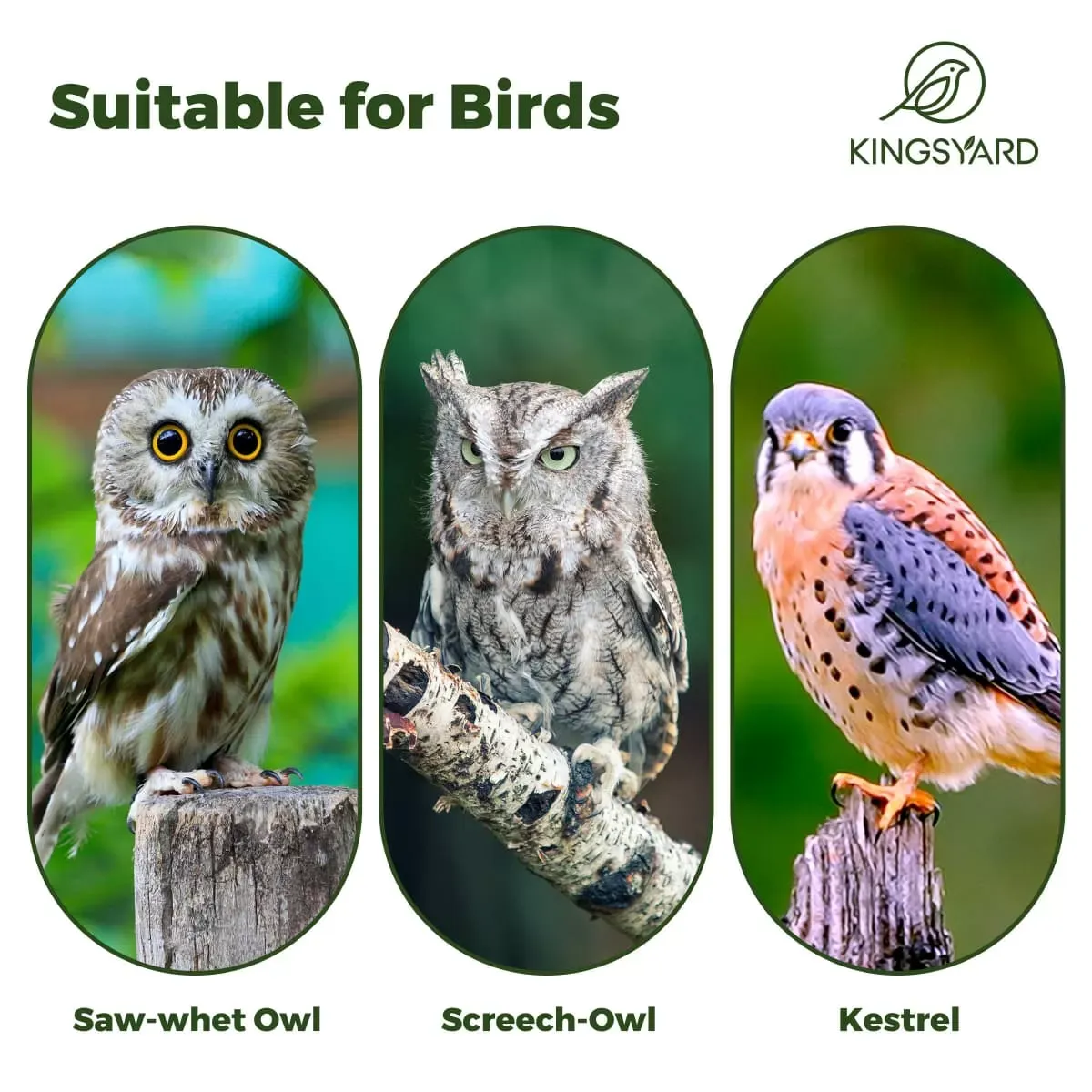 Kingsyard Weatherproof Owl House Outdoor Nesting Box 11