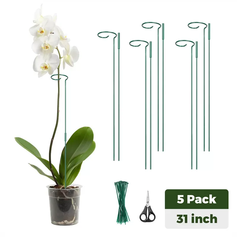 Kingsyard Metal Plant Support Stakes 2 Kingsyard Metal Plant Support Stakes 2