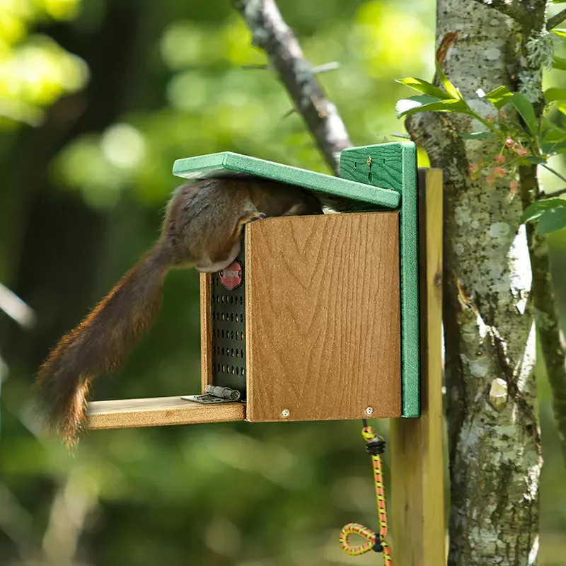 Green Kingsyard Large Capacity Squirrel Feeder House with Hinged Roof 3