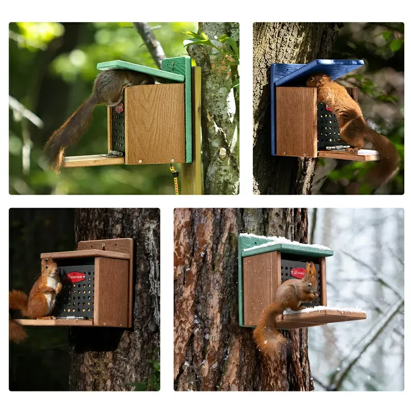 Green Kingsyard Large Capacity Squirrel Feeder House with Hinged Roof 5