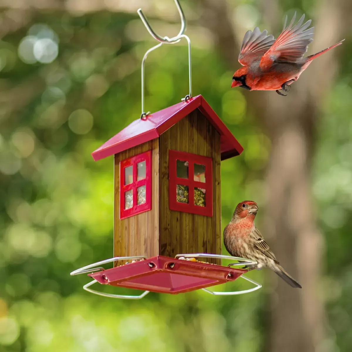 Kingsyard Small Bird House Feeder