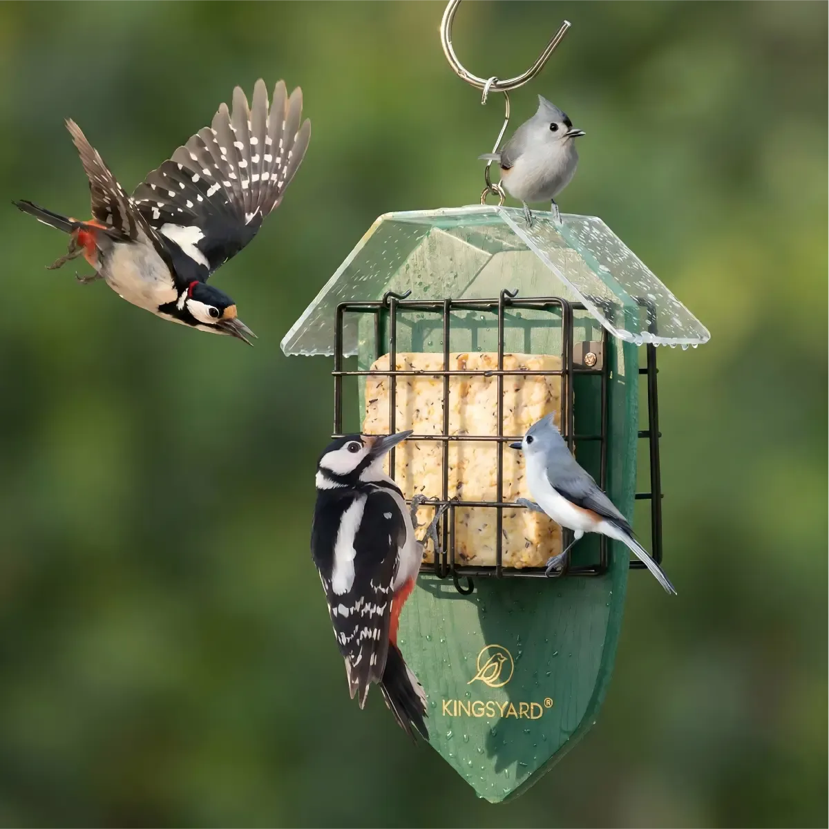 Kingsyard Double Suet Weatherproof Bird Feeder