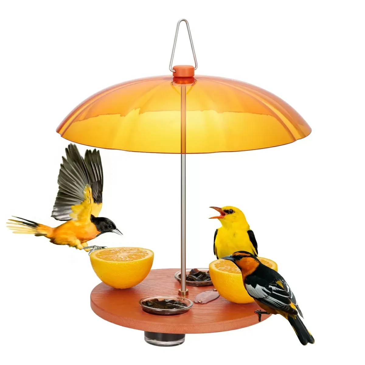 Kingsyard Oriole Bird Feeders with Protective Dome 2
