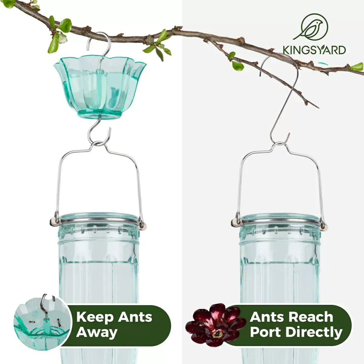 Green Kingsyard 16oz Glass Hummingbird Feeder With Ant Moat 5