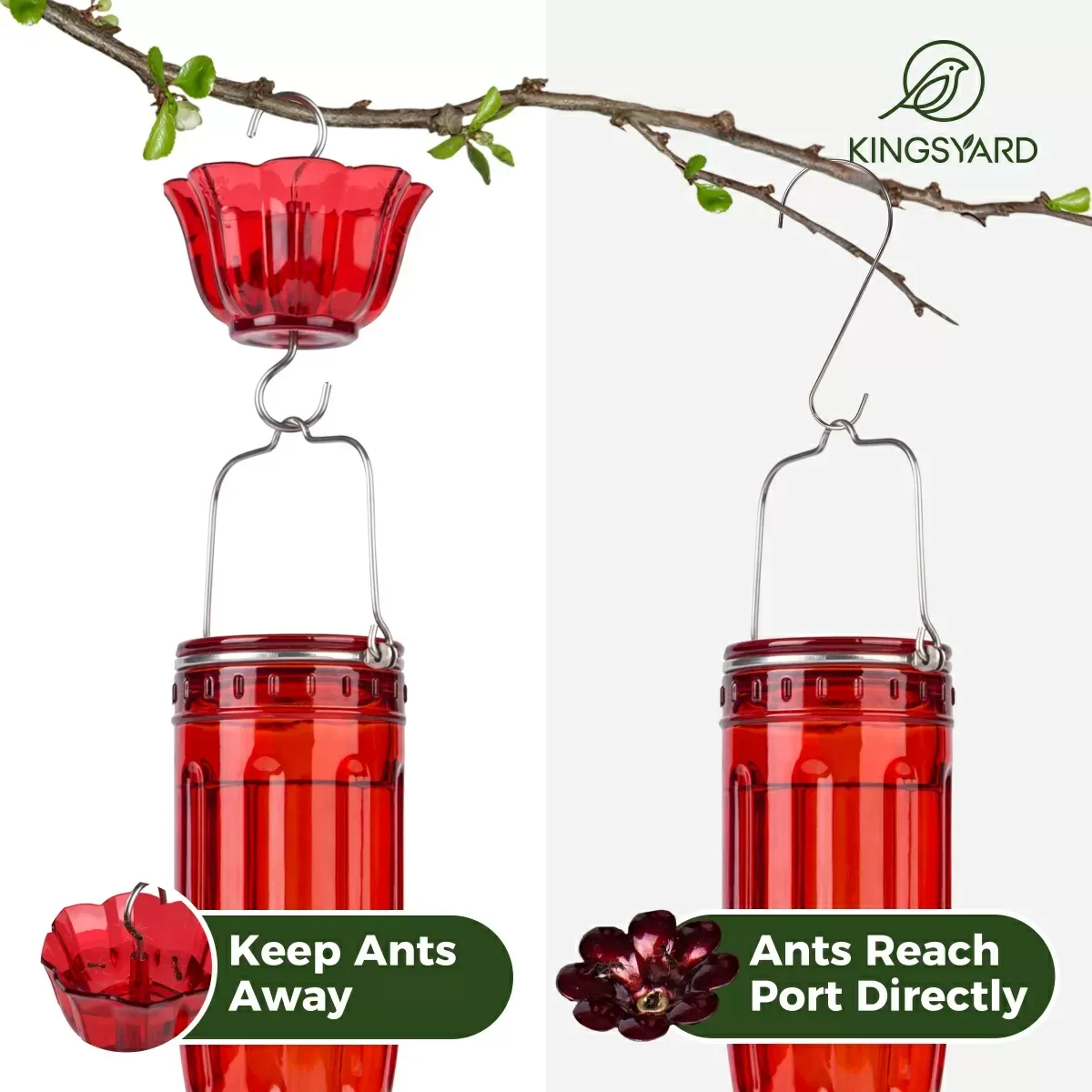 Red Kingsyard 16oz Glass Hummingbird Feeder With Ant Moat 5
