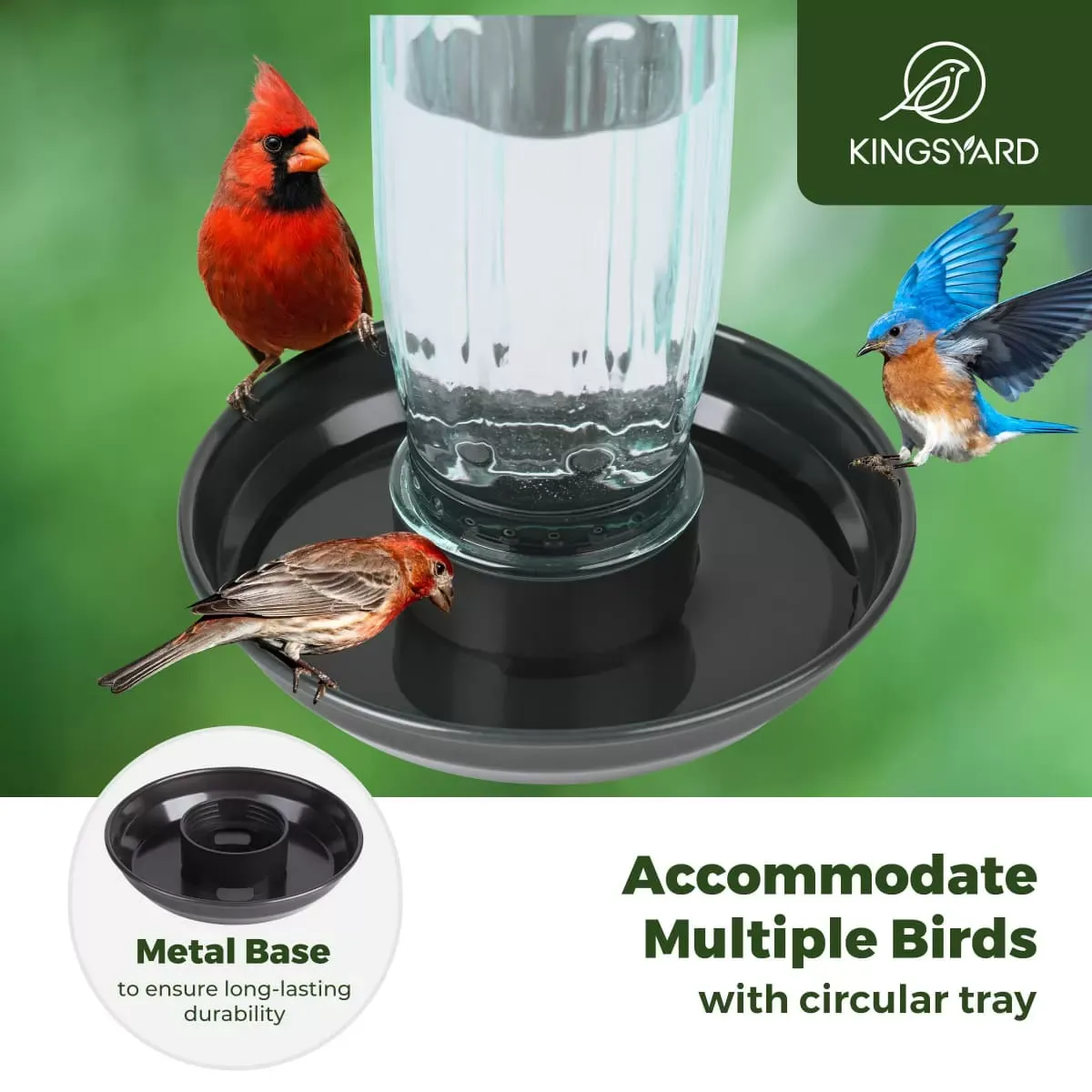 Kingsyard Glass Bird Waterer for Outdoor Use 6 Kingsyard Glass Bird Waterer for Outdoor Use 6