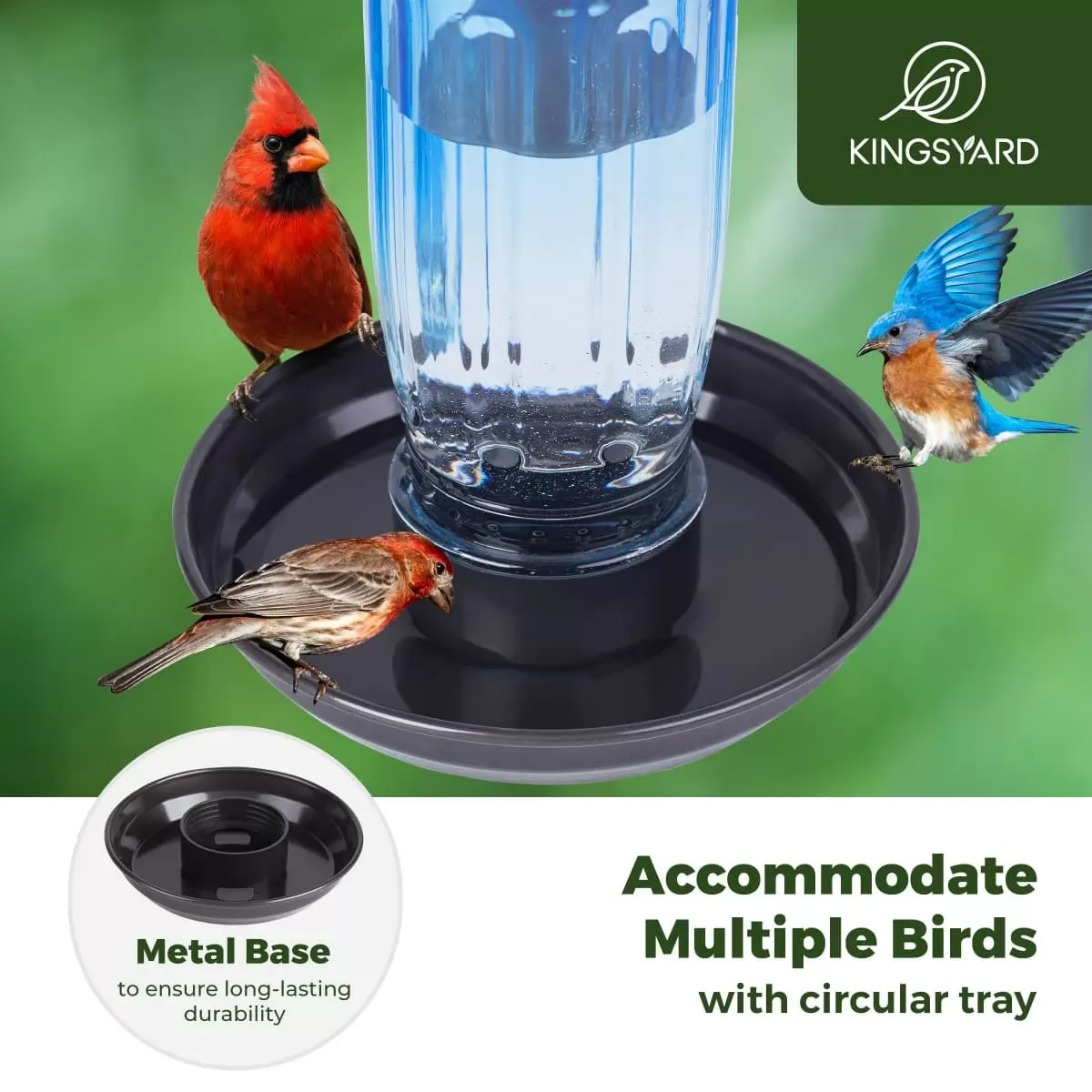 Blue Kingsyard 16oz Glass Bird Waterer for Outdoor Use 6
