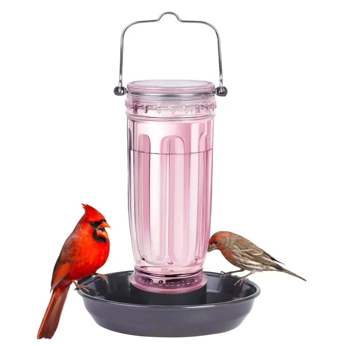Pink Kingsyard 16oz Glass Bird Waterer for Outdoor Use 2