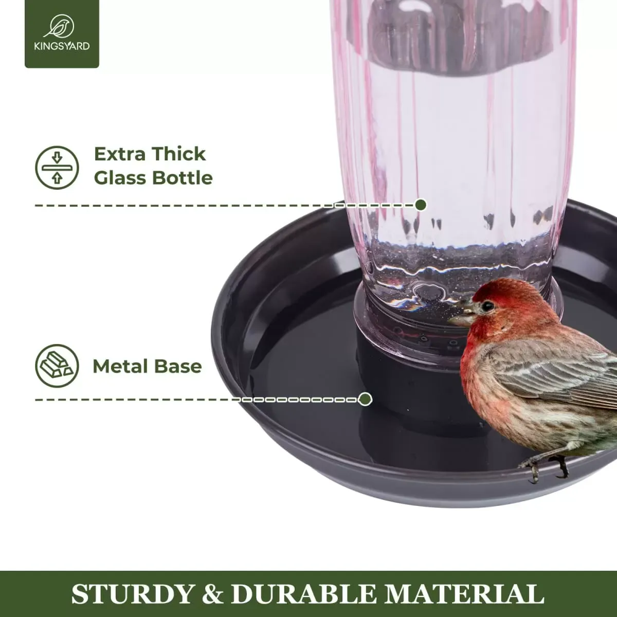 Pink Kingsyard 16oz Glass Bird Waterer for Outdoor Use 4