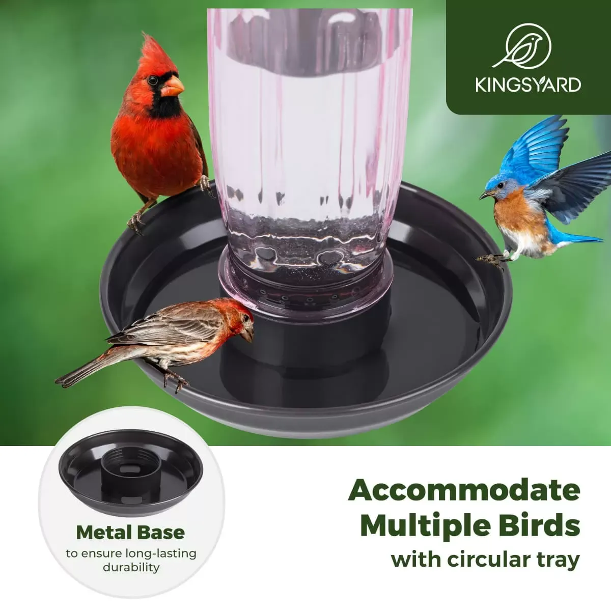 Pink Kingsyard 16oz Glass Bird Waterer for Outdoor Use 6