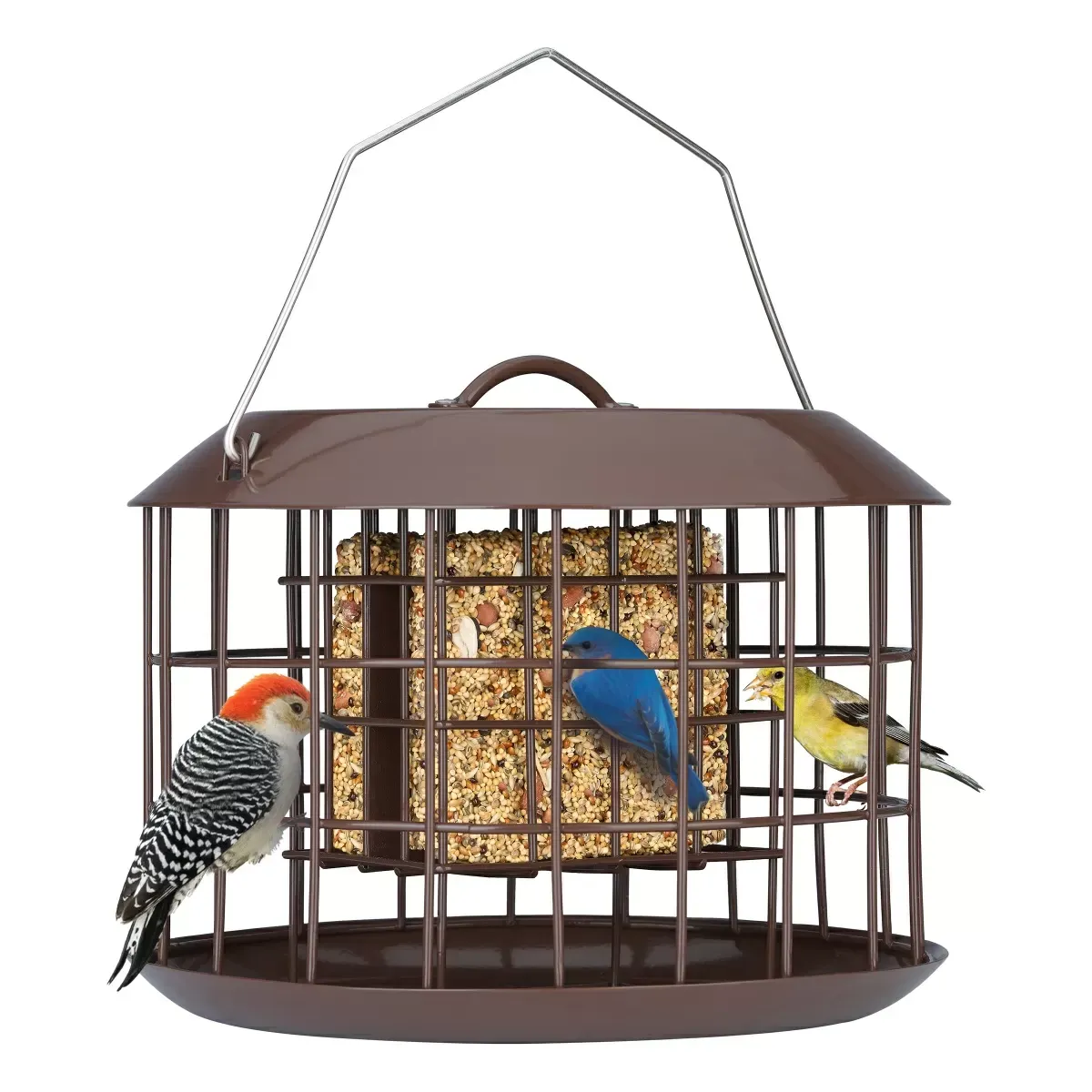 Brown Kingsyard Metal Caged Squirrel Proof Suet Feeder 2 Brown Kingsyard Metal Caged Squirrel Proof Suet Feeder 2