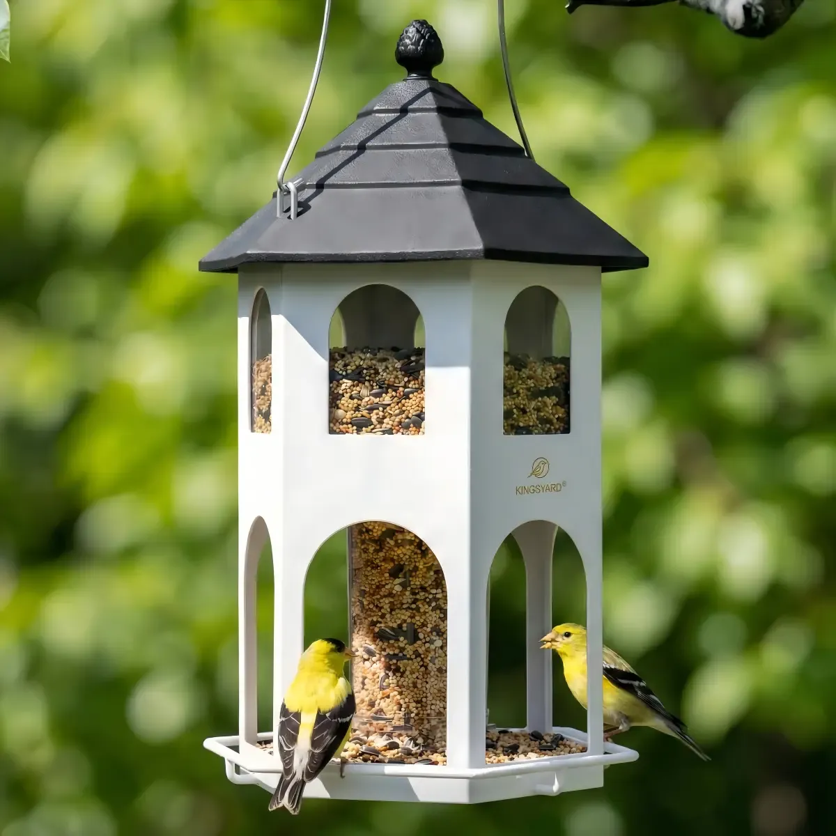 Kingsyard Weatherproof Metal House Bird Feeder