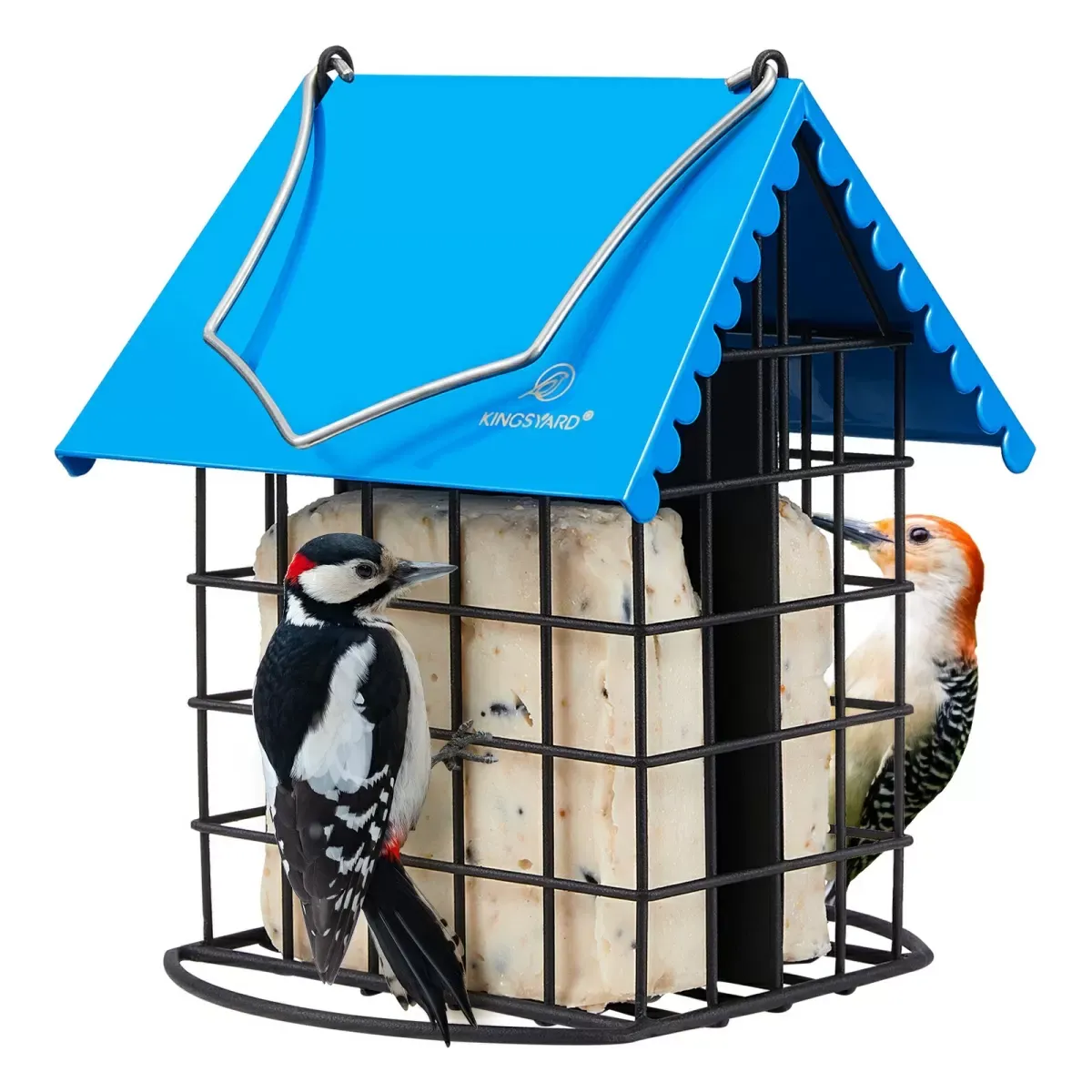 Blue Kingsyard Suet Bird Feeder with Roof and Perch 2