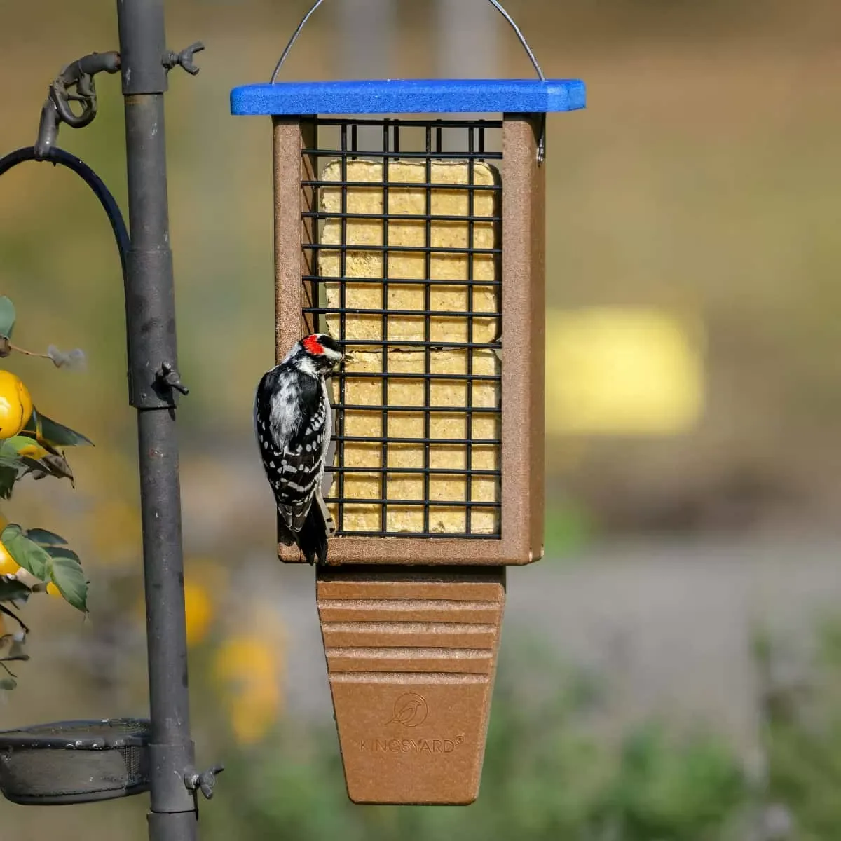 Kingsyard Extended Tail Prop Suet Feeder for Woodpeckers