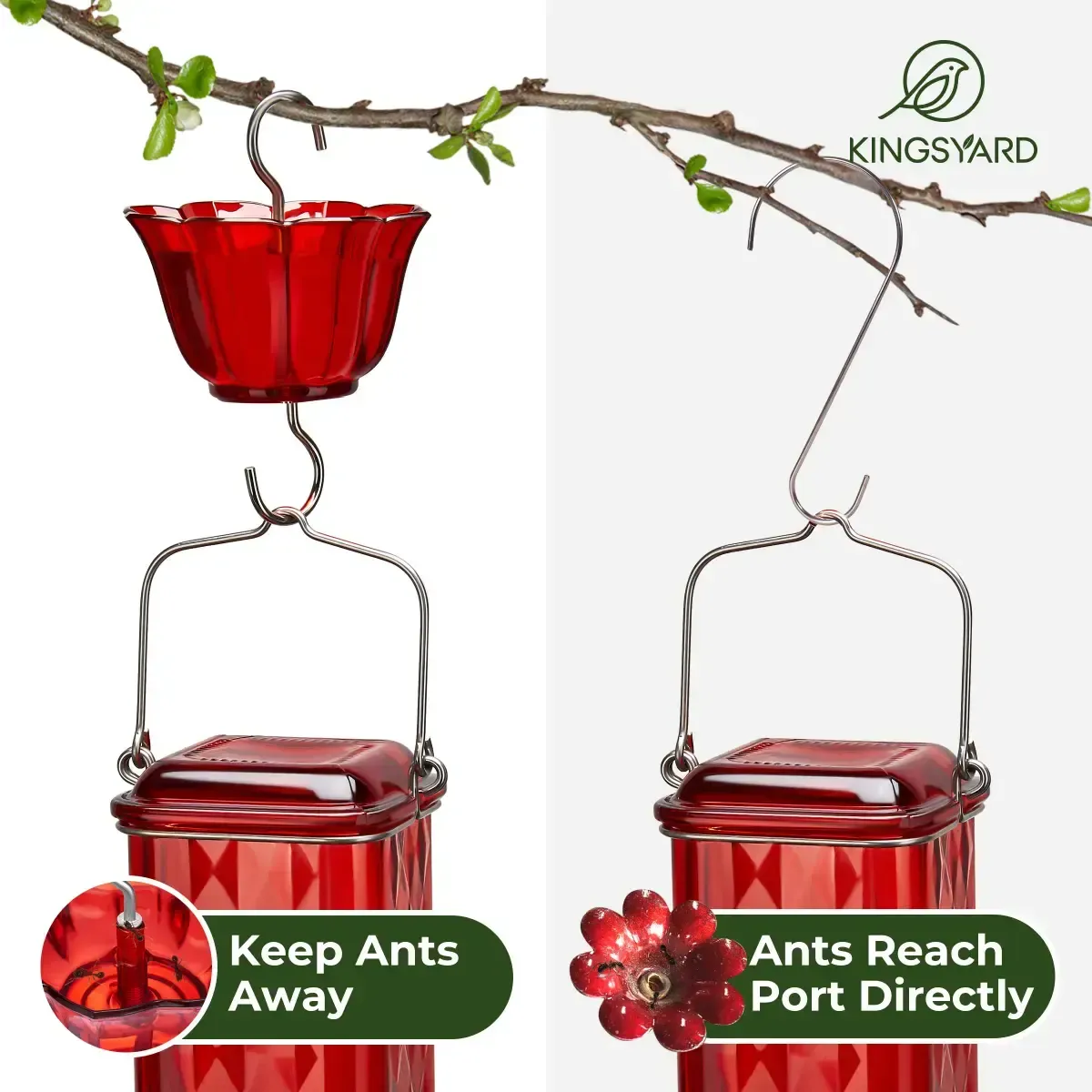 Red Kingsyard 24oz Leak Proof Glass Hummingbird Feeder with Ant Moat 6